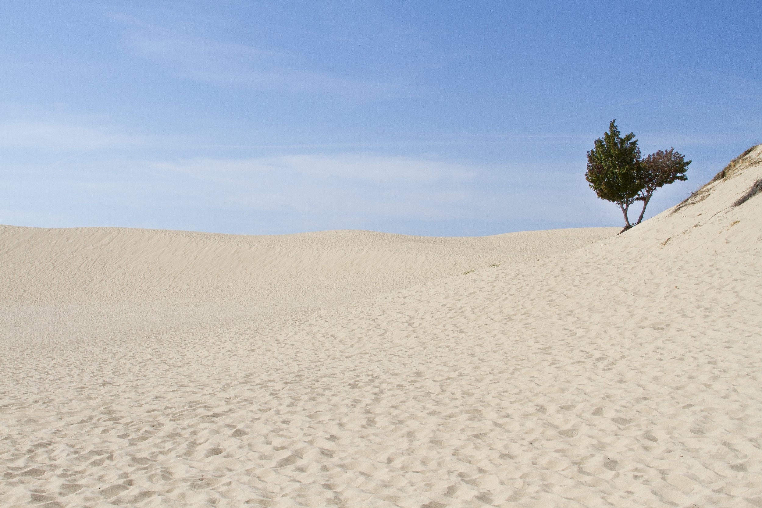SilverLakeDunes_8x12.jpg