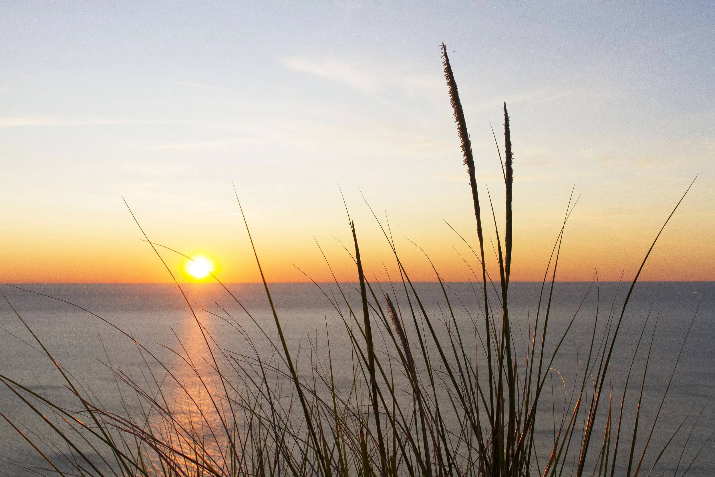 SunsetDuneGrass_8x12.jpg