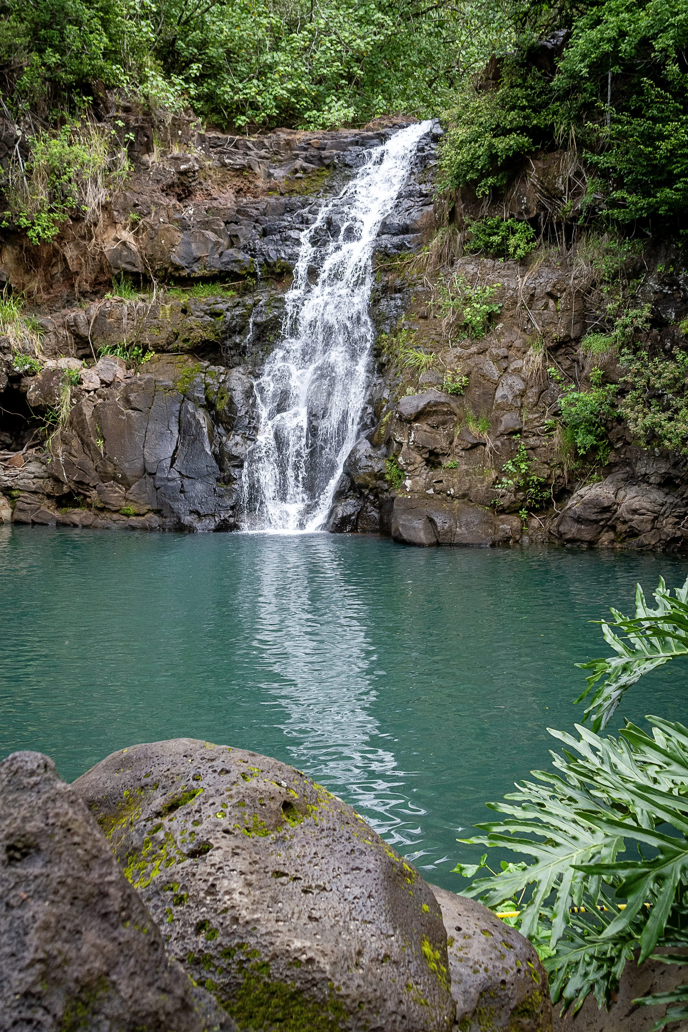 Waimea Falls