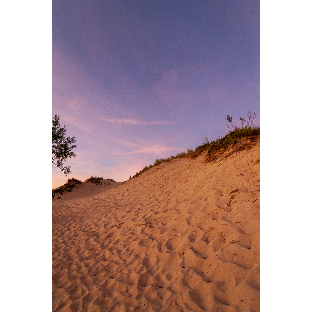 Dune Sunset