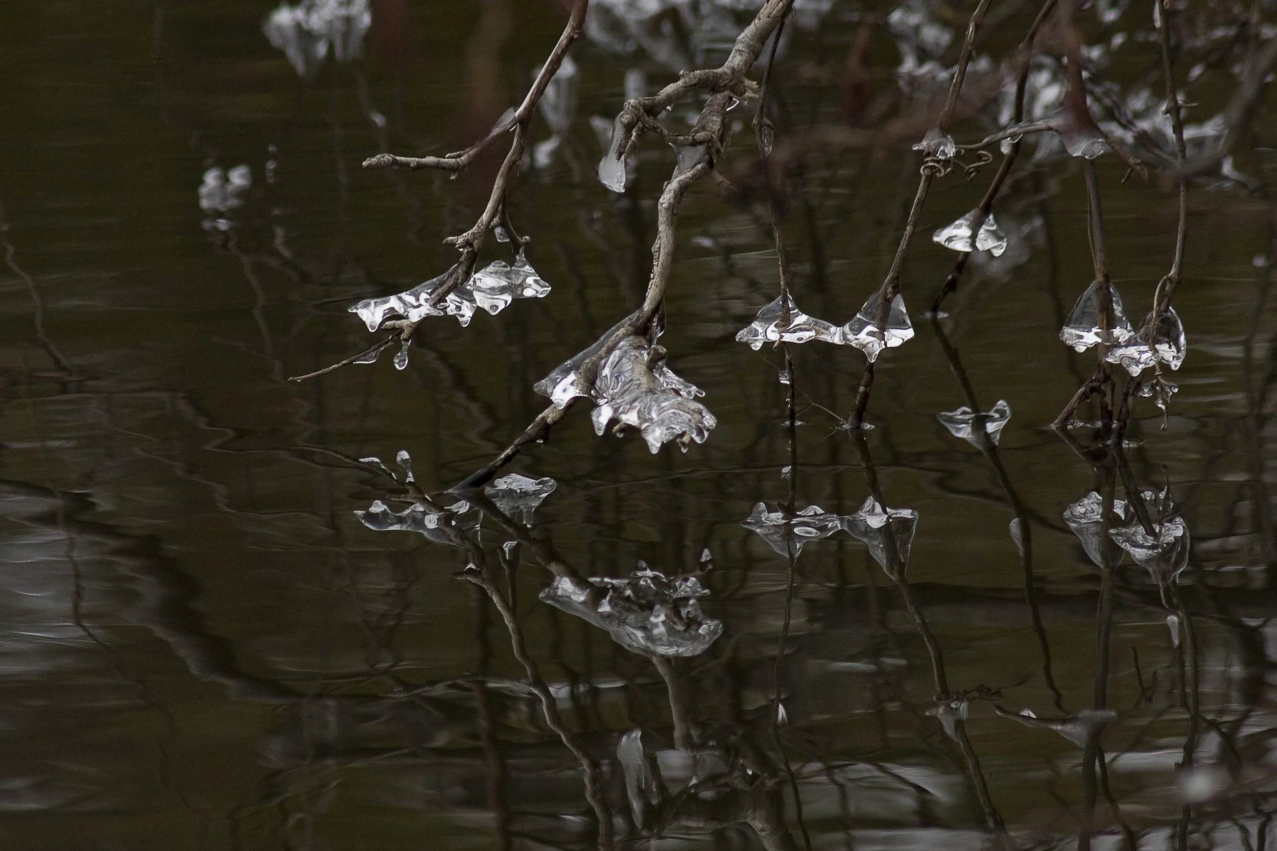 Ice Over Boardman Lake