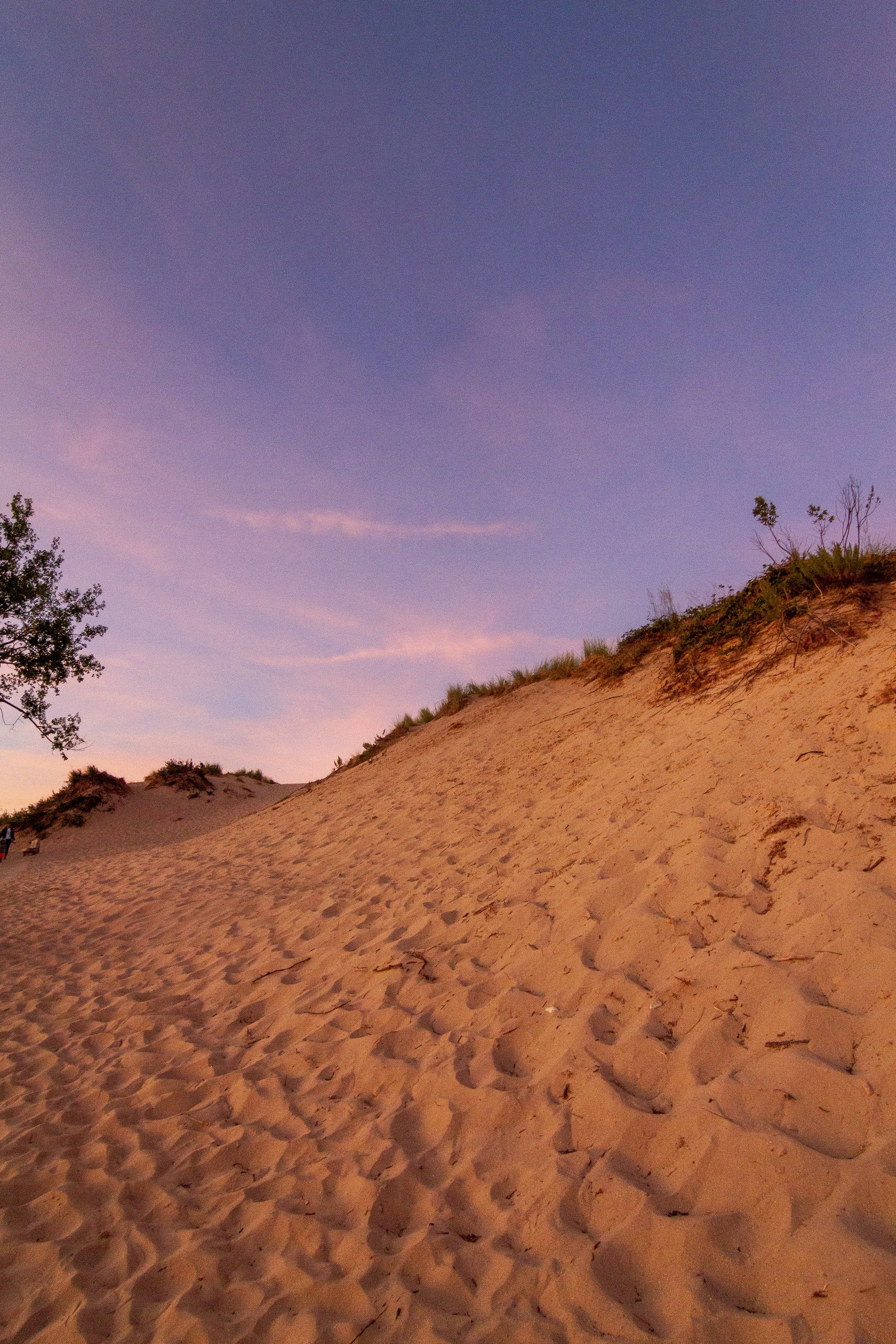 Dune Sunset