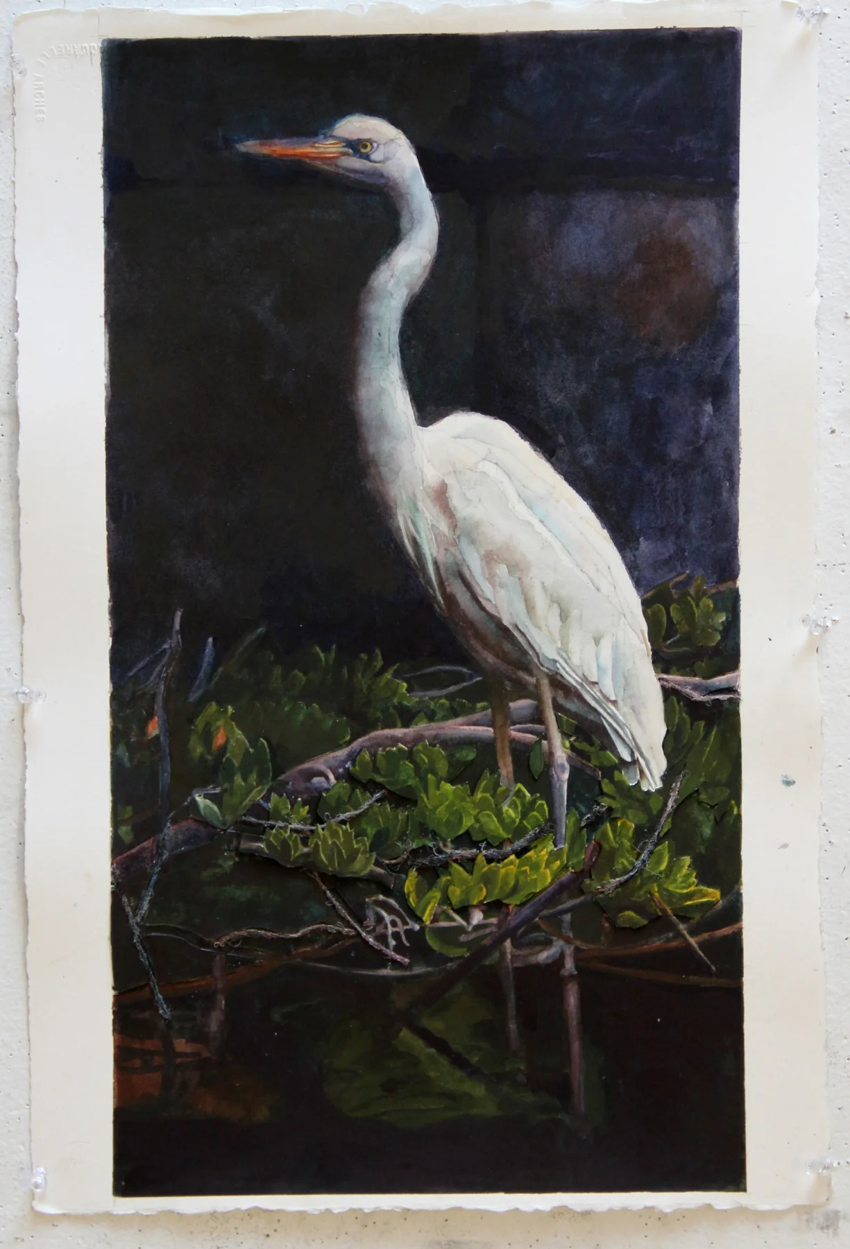 White Heron