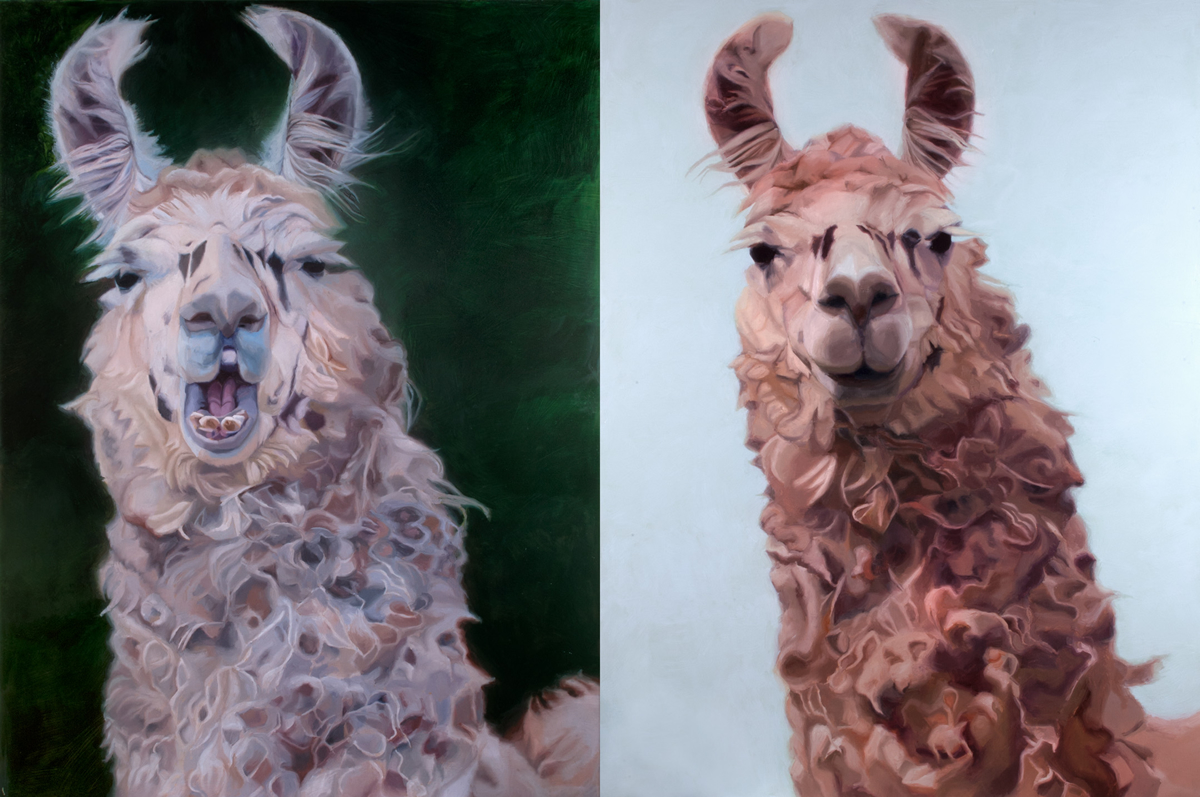 David Shepherd Wildlife Foundation's Wildlife Artist of the Year competition