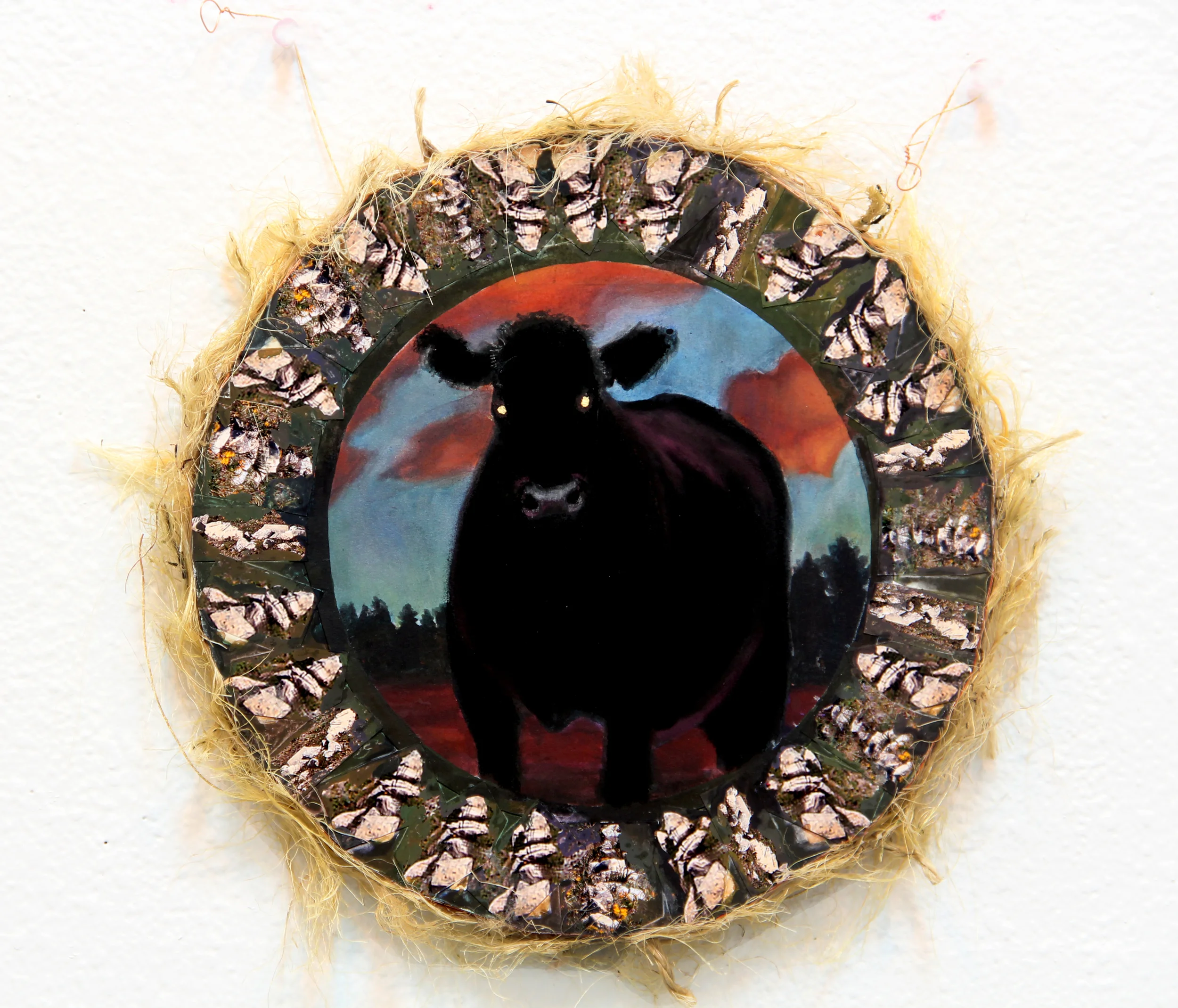 Medicine Cow