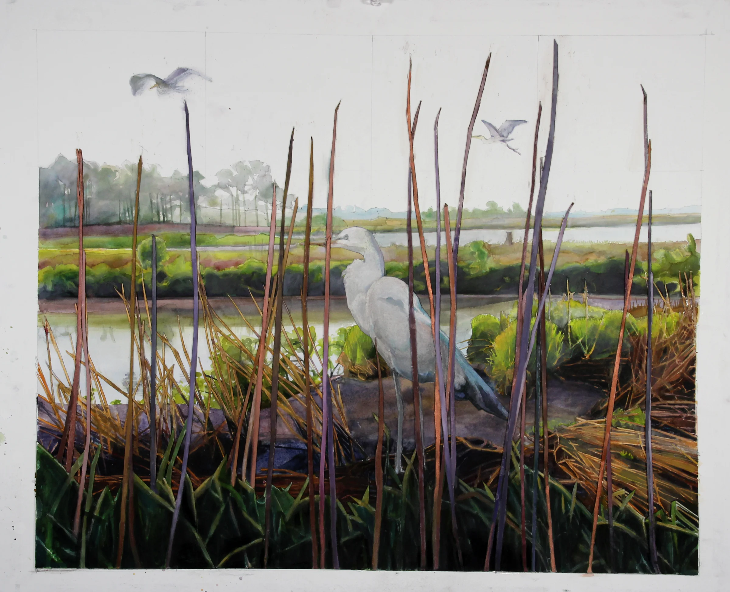 Blackwater Layers