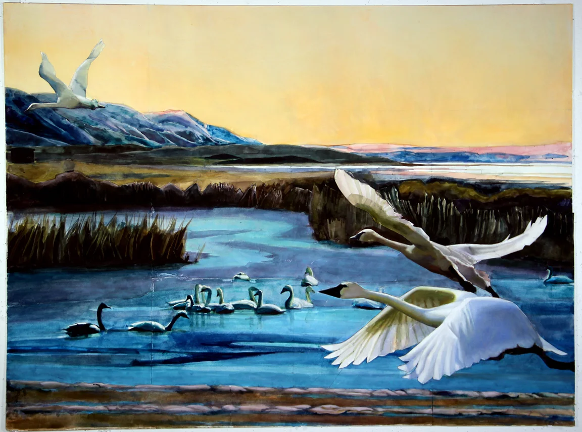 Swans Swim