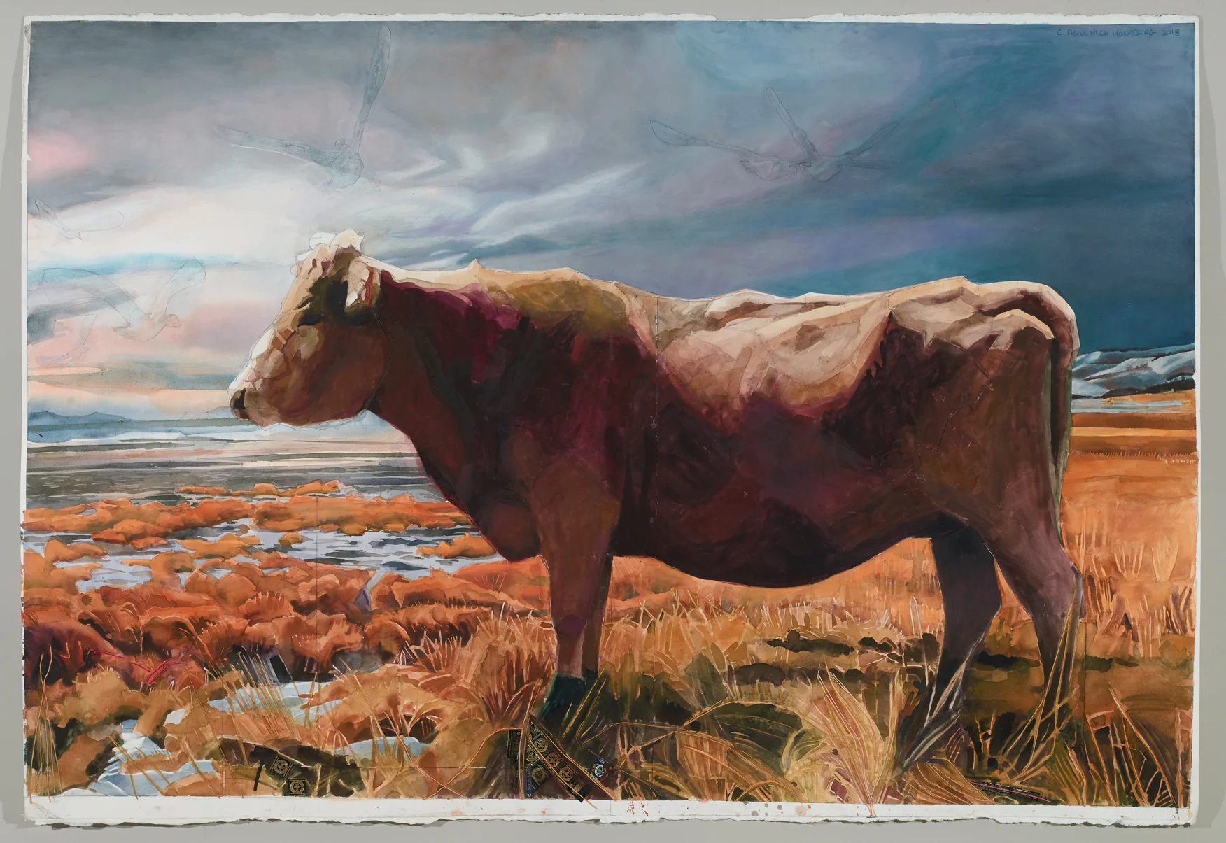 All of the Hopes and Dreams of a Western Calf