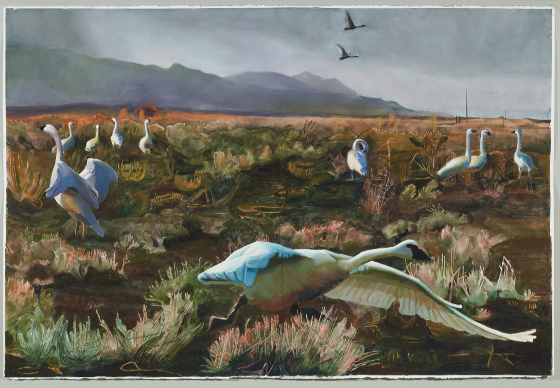 The Season for Trumpeter Swans