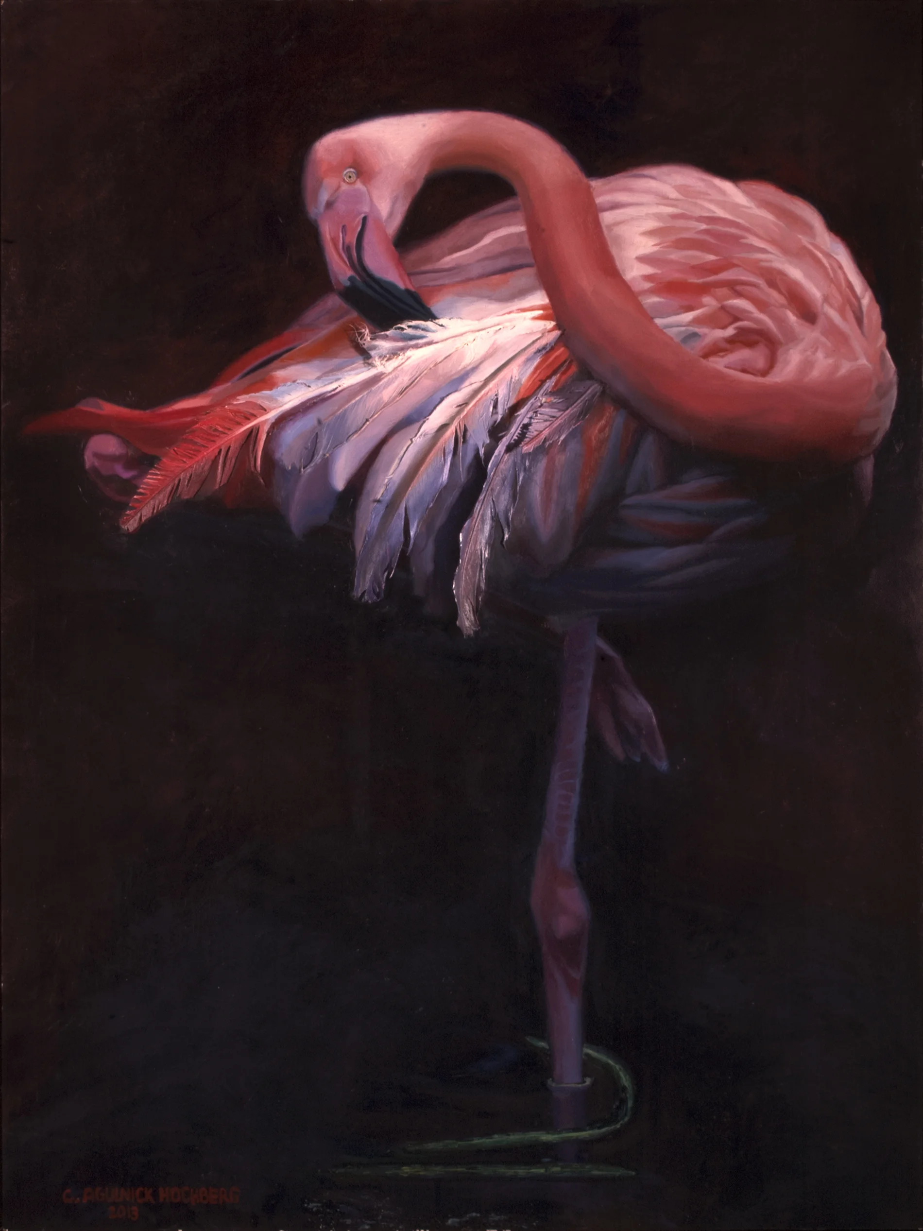 Flamingo
