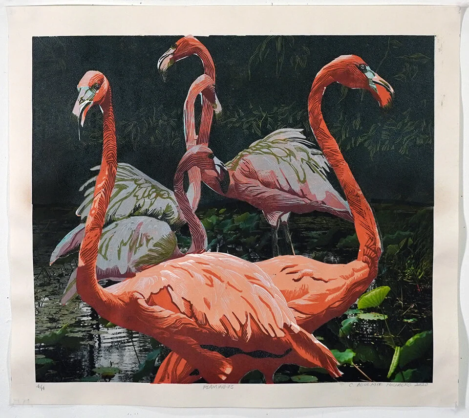 Flamingos