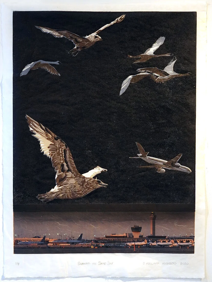 Sharing the Same Sky