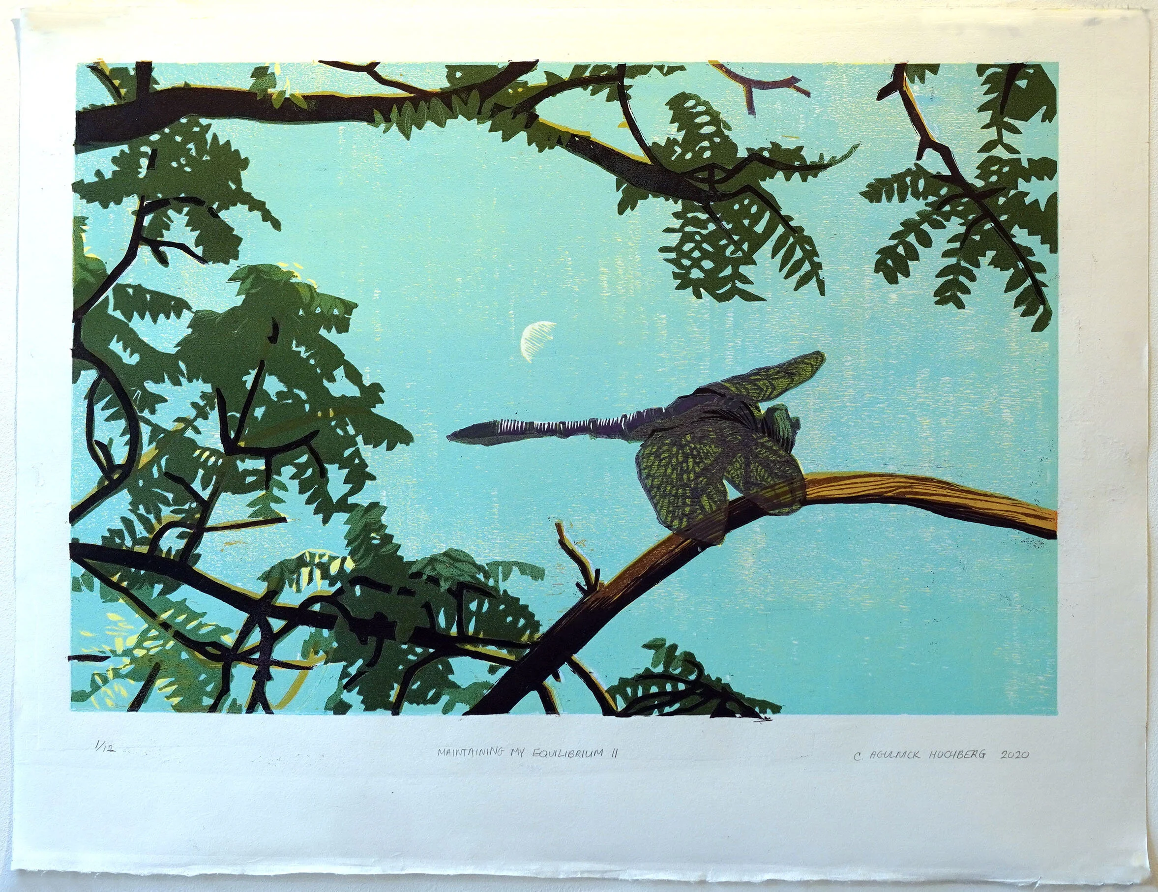 Maintaining my Equilibrium II