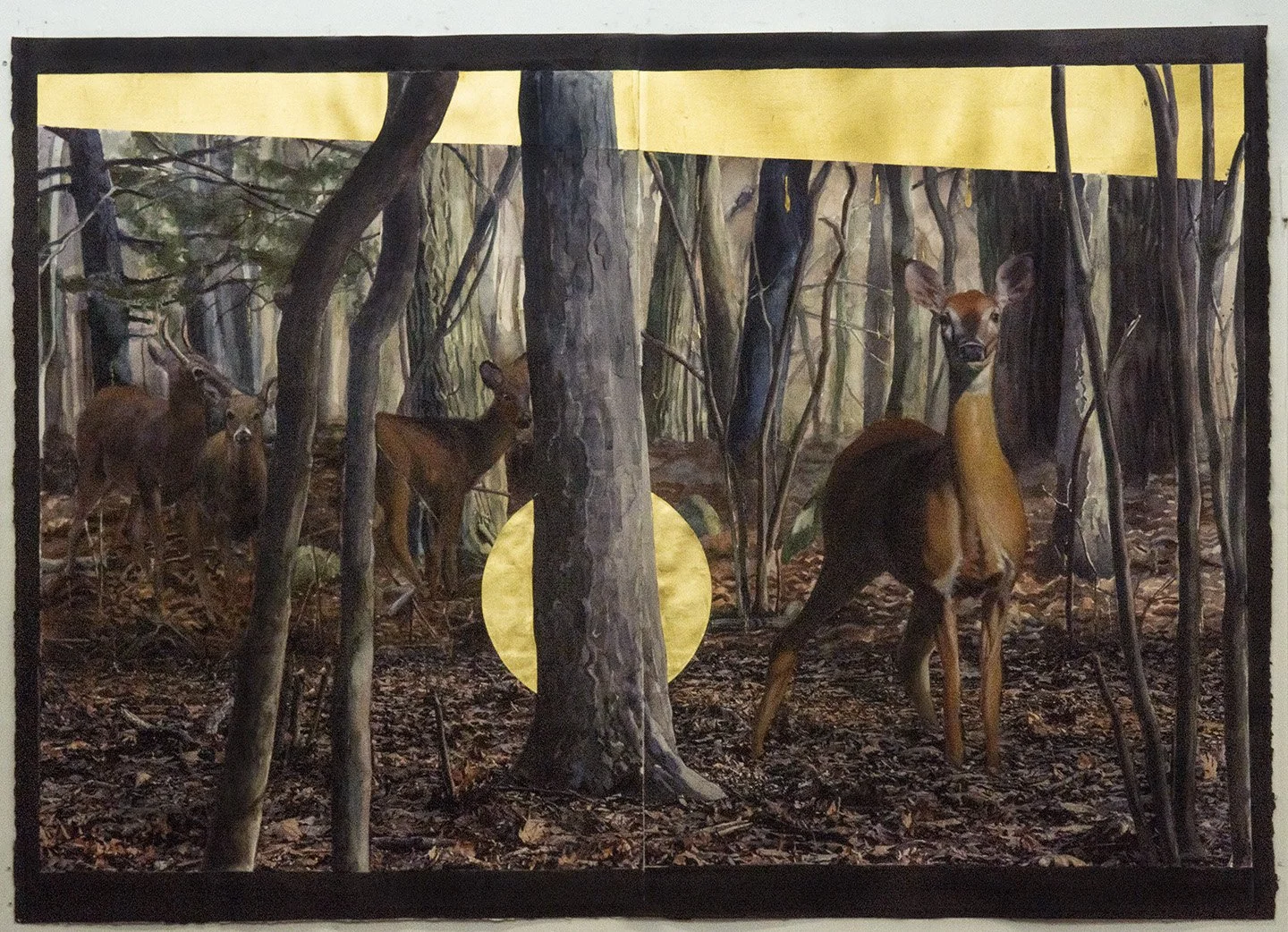 recemption woods with sun 2_screen copy.jpg