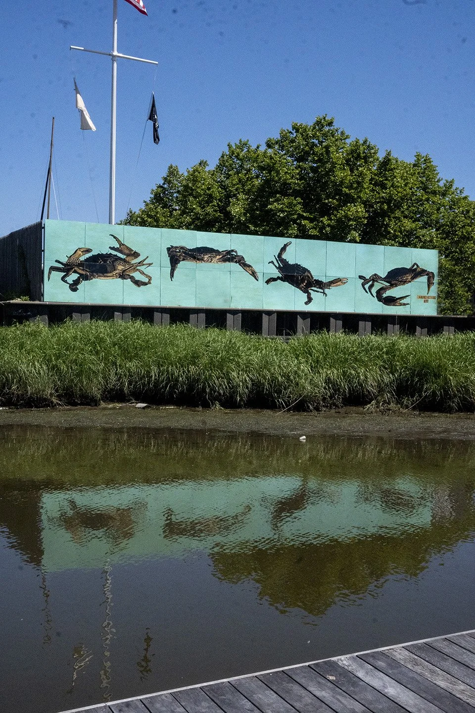 The Crab Reveals/The Crab Portends