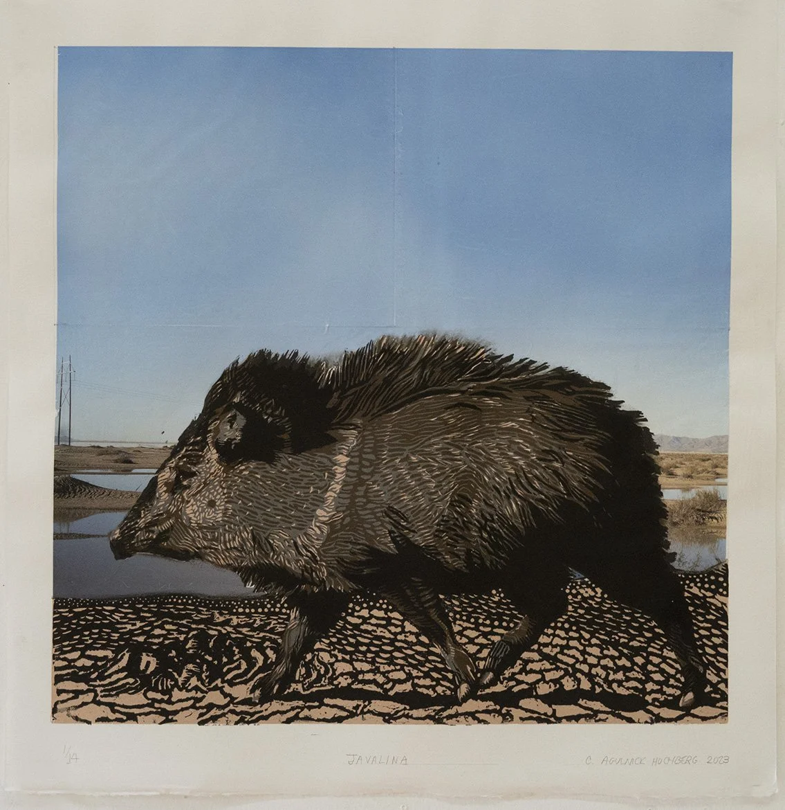 Javelina I