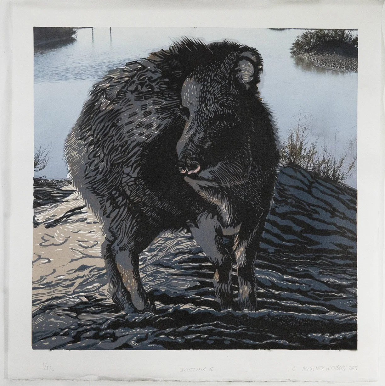 javaline II_ screen.jpg