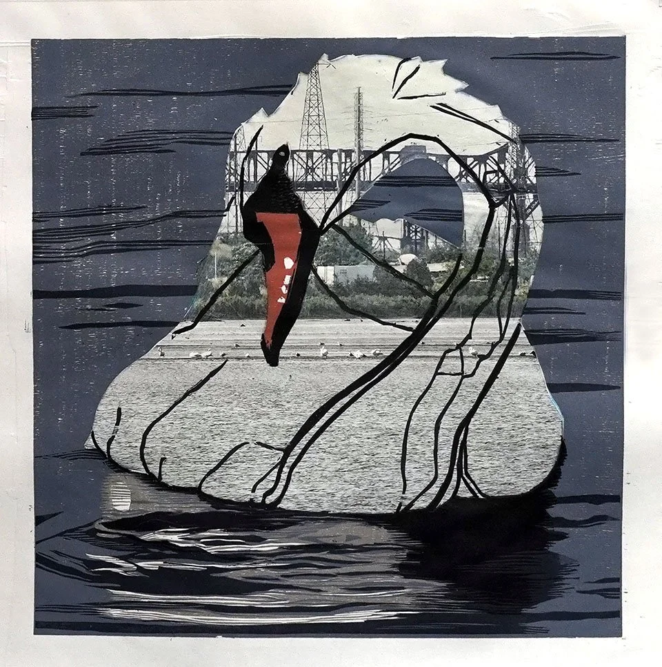 swan afloat_screen.jpg