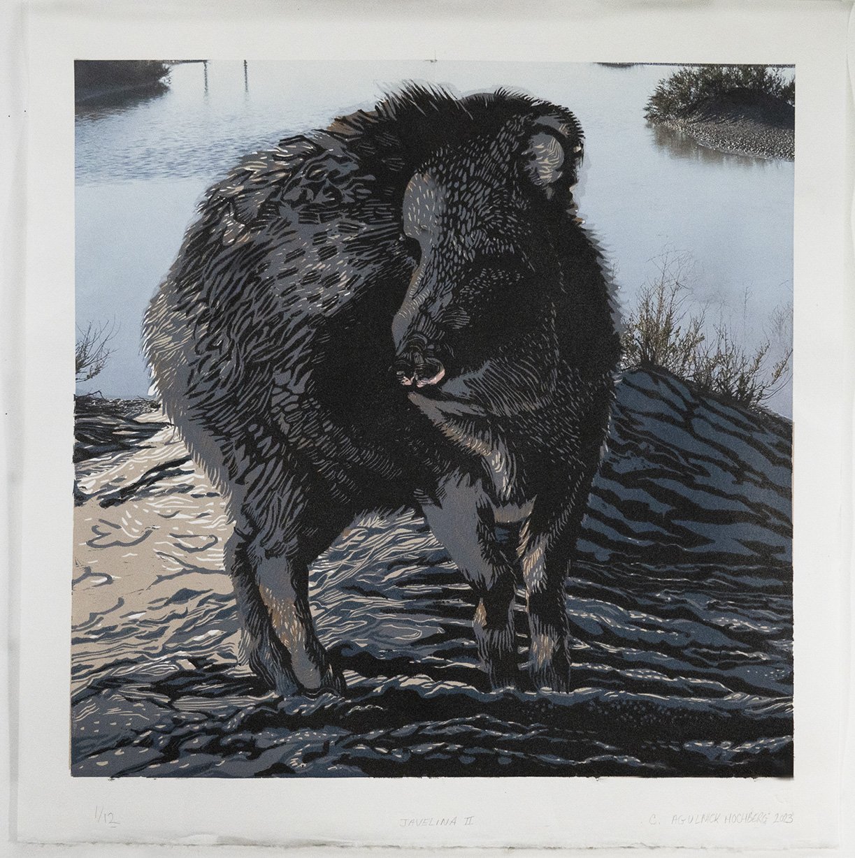 Javelina II