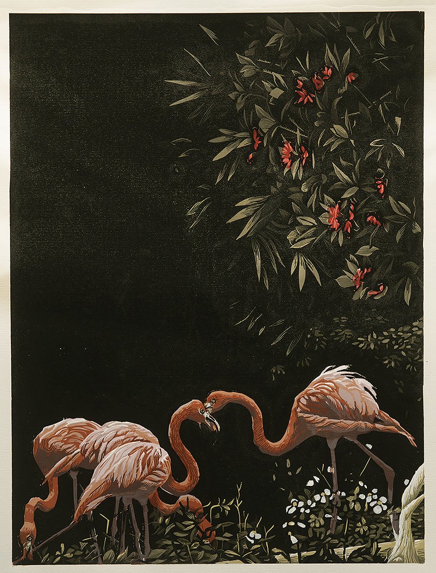 Flamingos In a Deep Forest