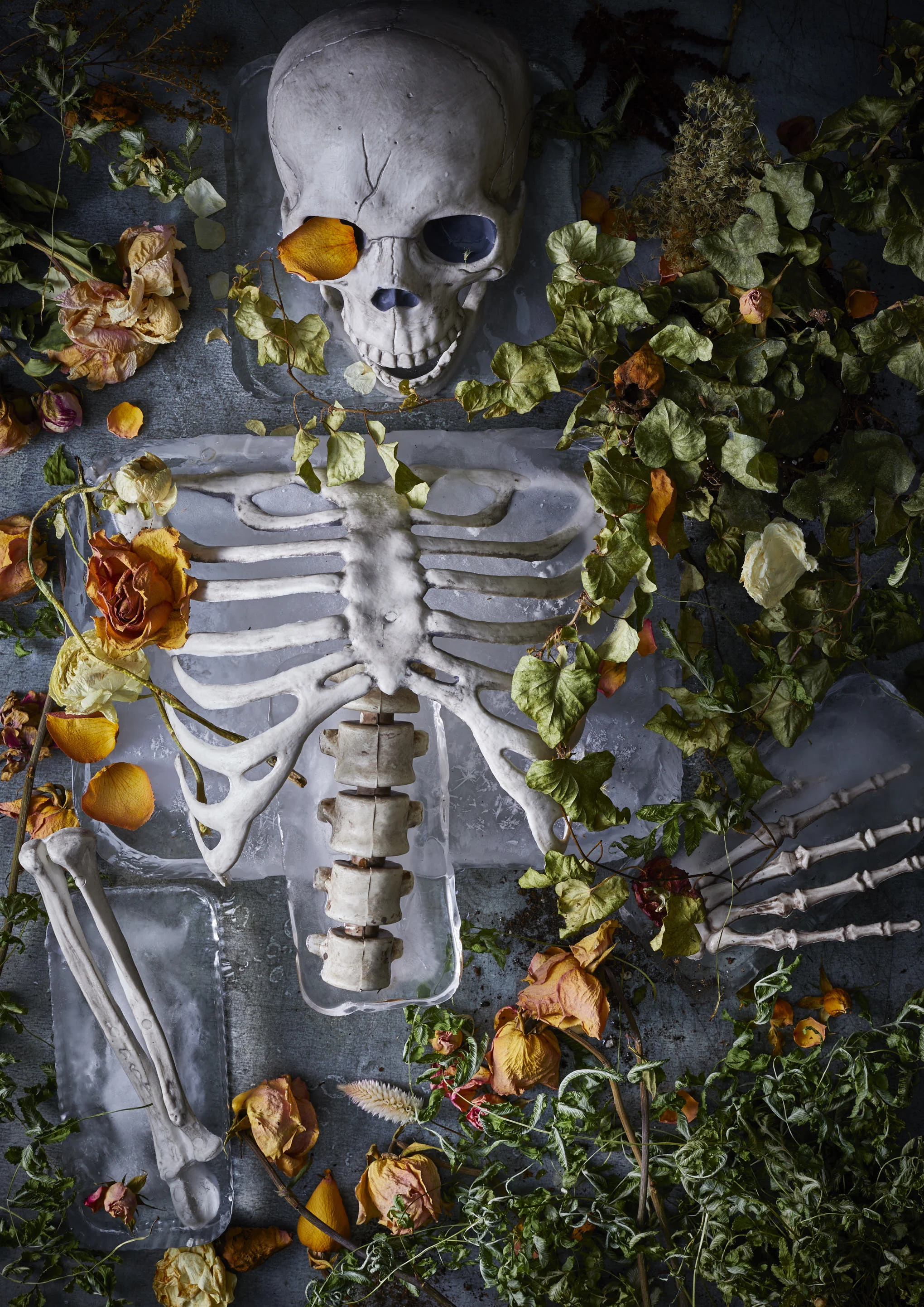Halloween2643.jpg