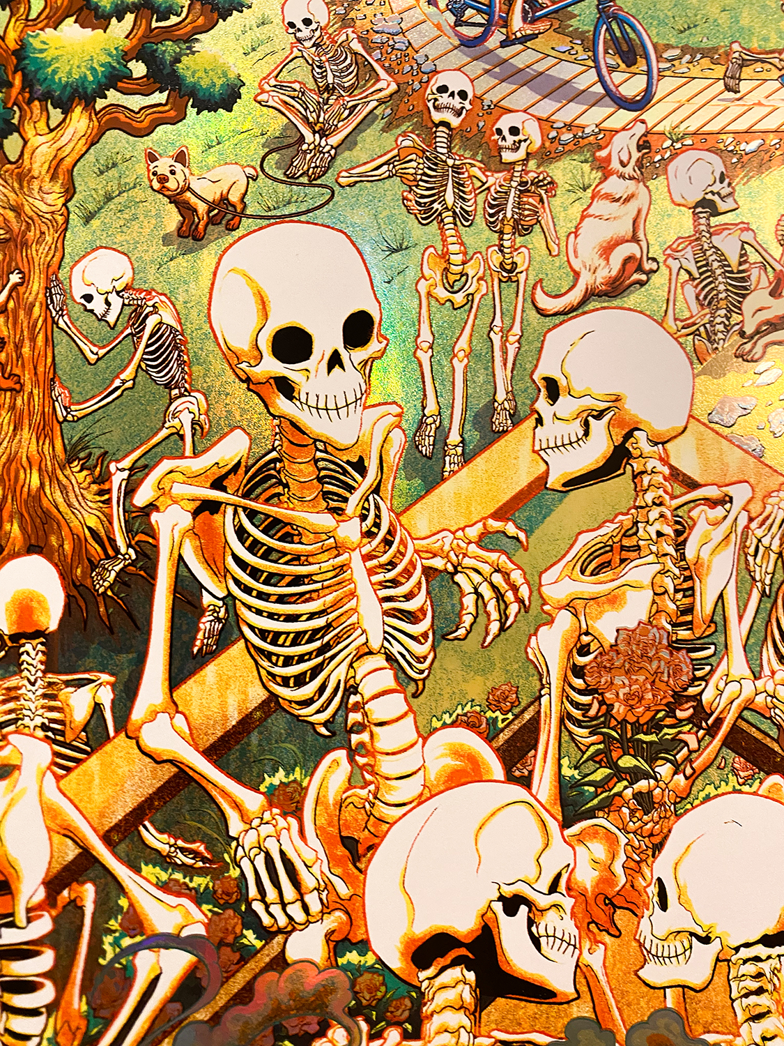 Miles_Tsang-Dead_&_Company-Grateful_Dead_60_Years-San_Francisco_2025-Foil-40.png
