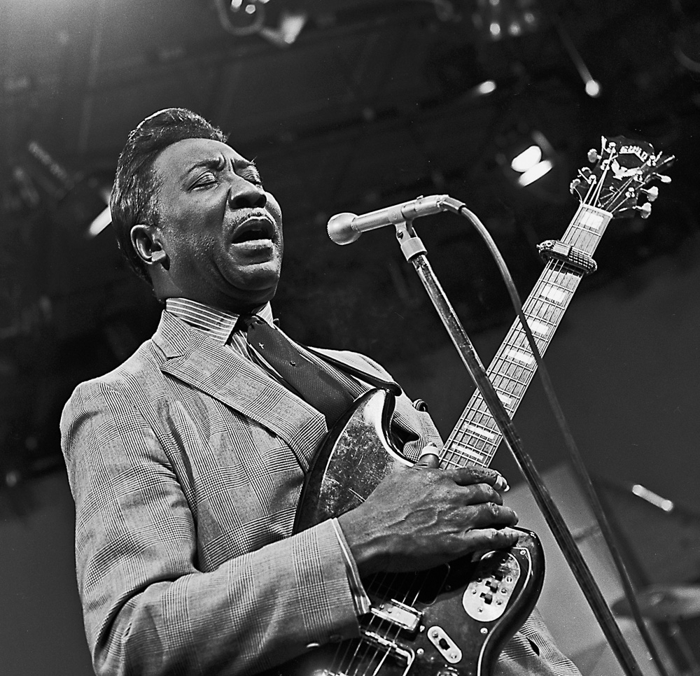 MuddyWaters.jpg