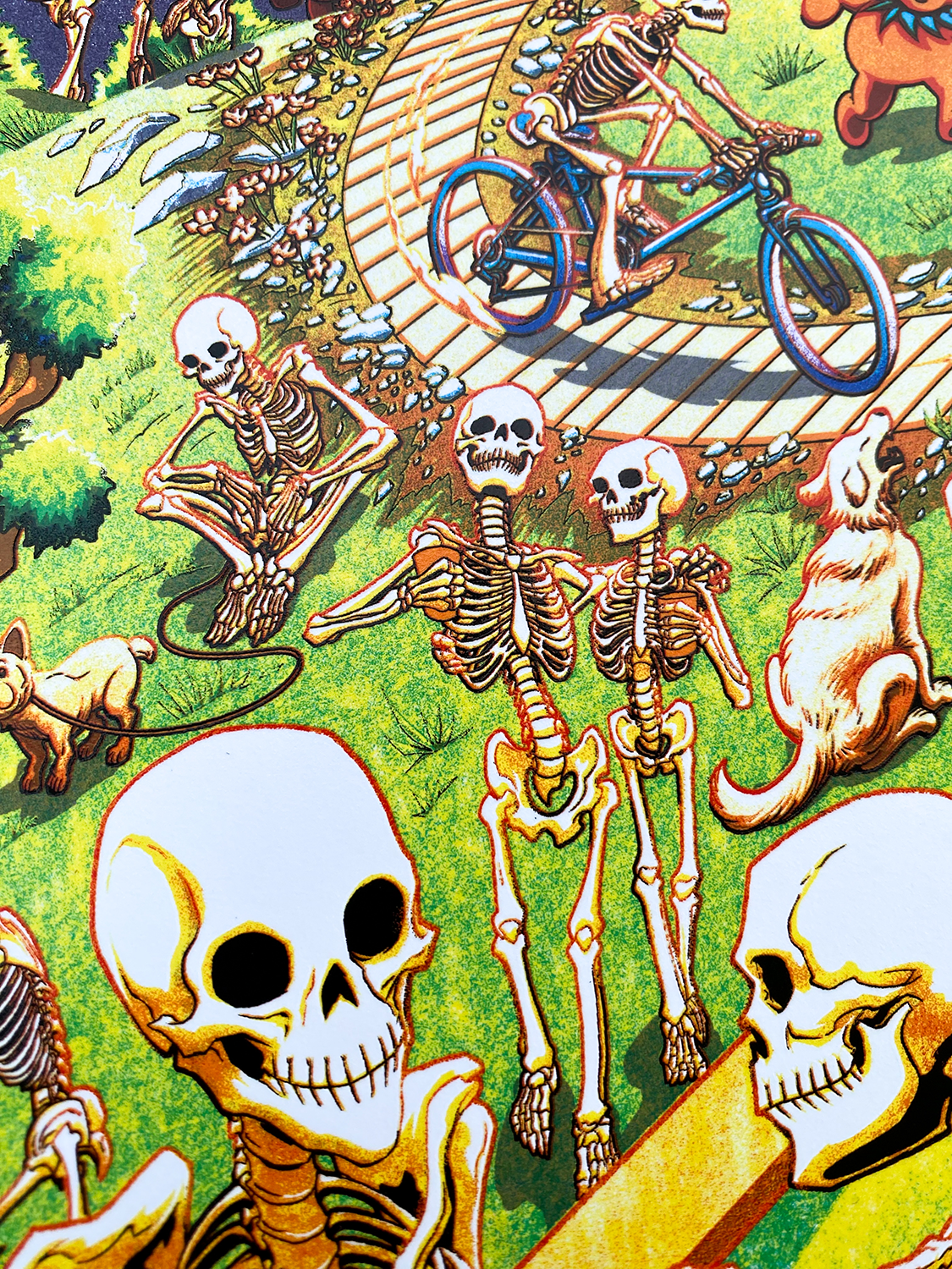 Miles_Tsang-Dead_&_Company-Grateful_Dead_60_Years-San_Francisco_2025-03.png