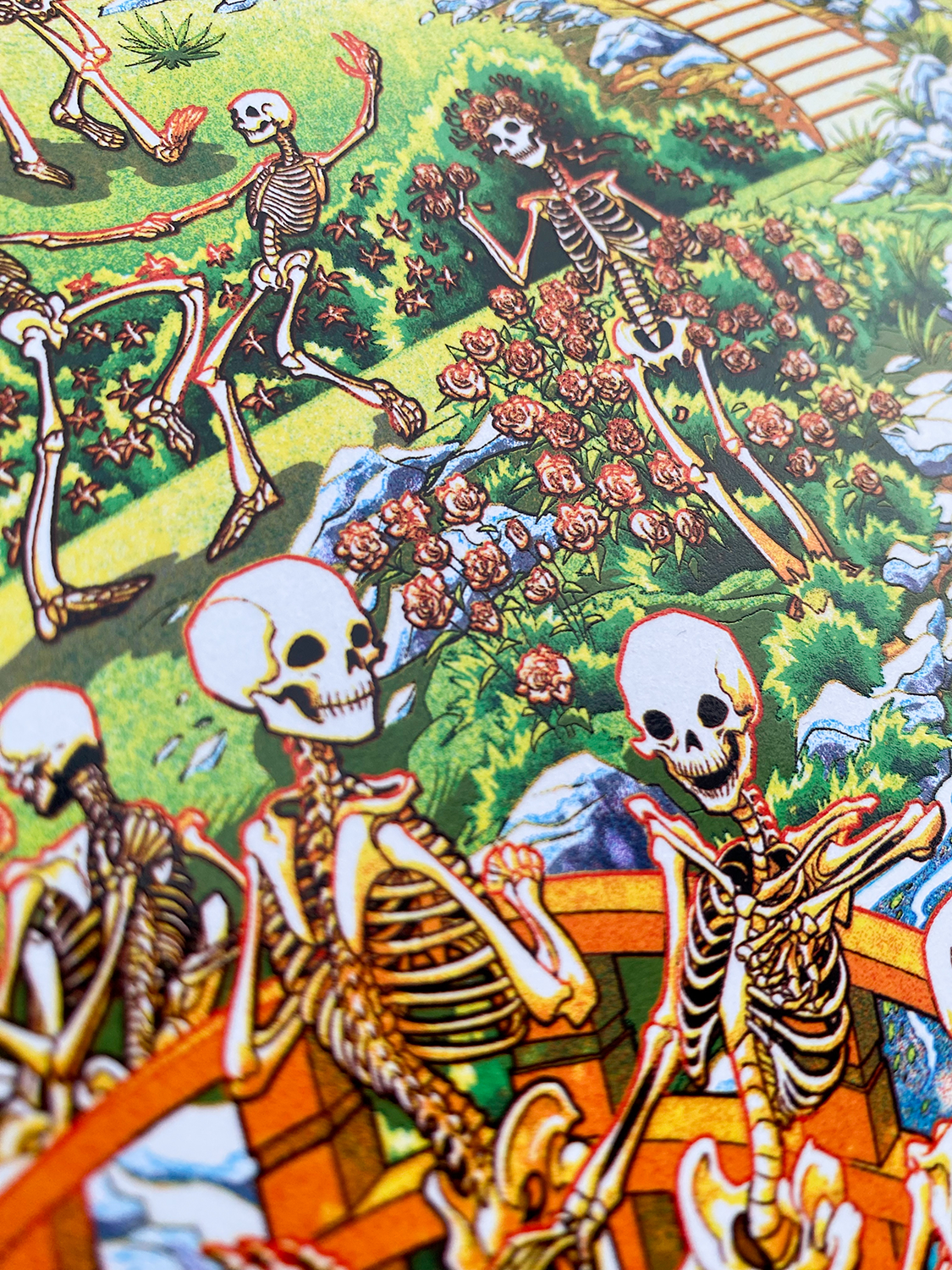 Miles_Tsang-Dead_&_Company-Grateful_Dead_60_Years-San_Francisco_2025-38.png