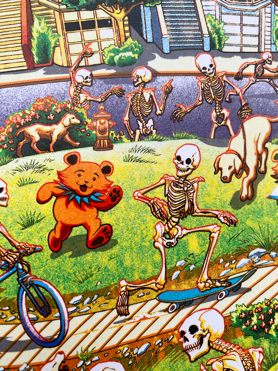 Miles_Tsang-Dead_&_Company-Grateful_Dead_60_Years-San_Francisco_2025-82.png