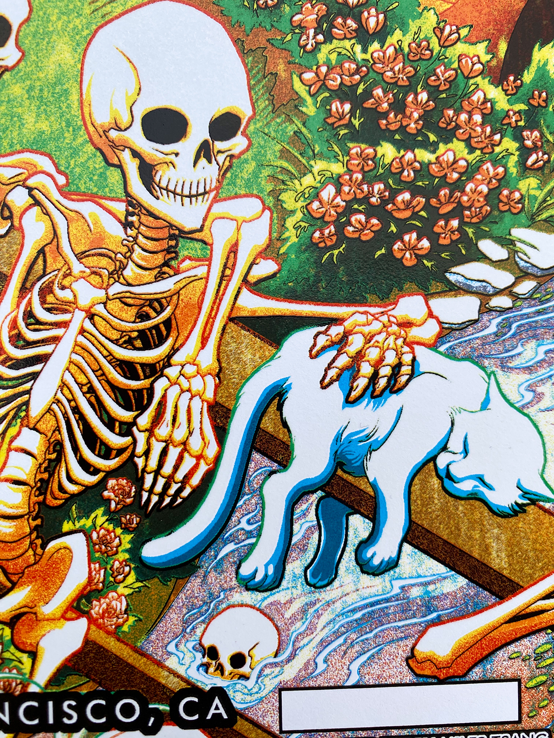 Miles_Tsang-Dead_&_Company-Grateful_Dead_60_Years-San_Francisco_2025-79.png