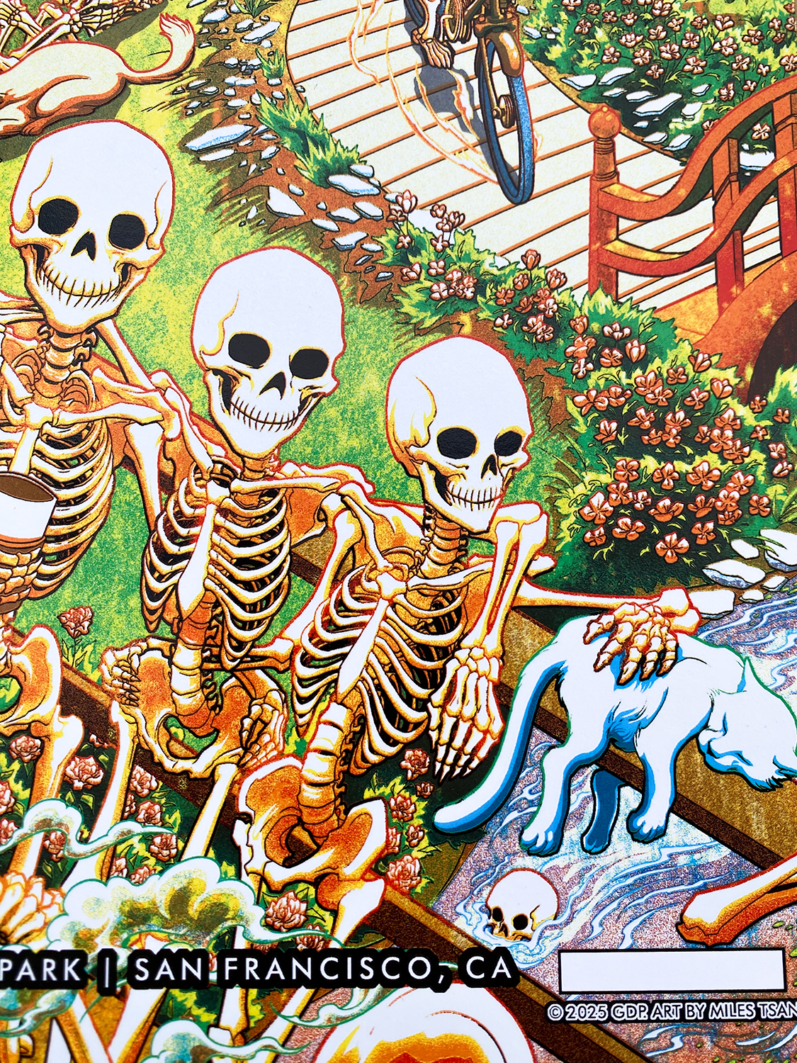 Miles_Tsang-Dead_&_Company-Grateful_Dead_60_Years-San_Francisco_2025-72-2.png
