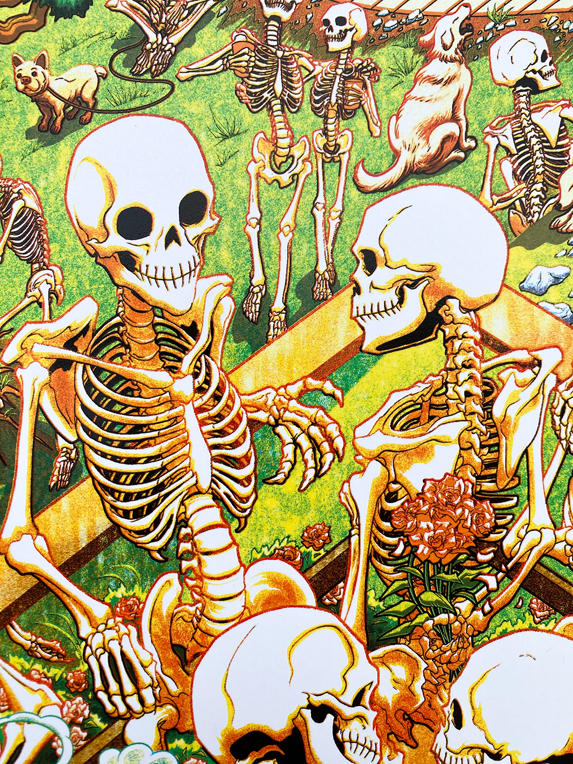 Miles_Tsang-Dead_&_Company-Grateful_Dead_60_Years-San_Francisco_2025-75.png