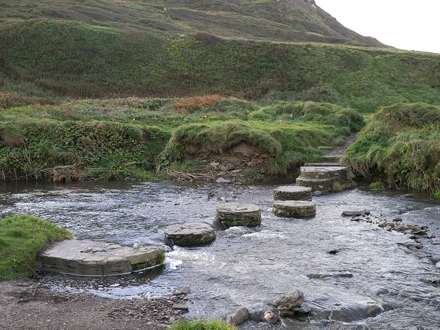ㇹヮィㇳ Follow%0AStepping stones.jpg