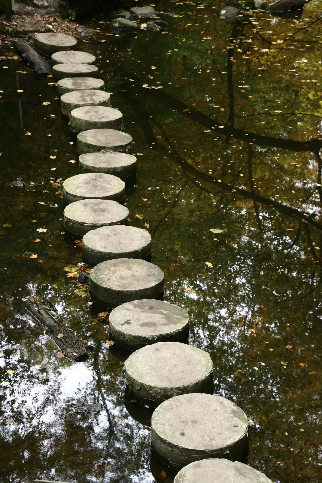 THREE YEAR SCHOOL 2015 - 2018