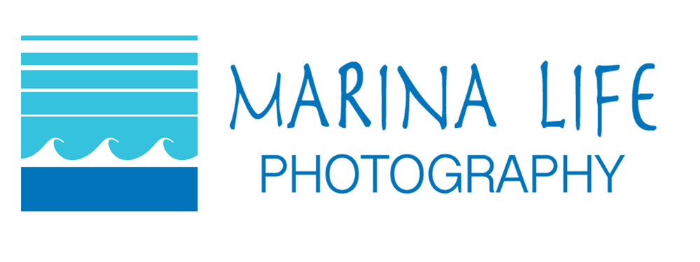Marina Life Photography