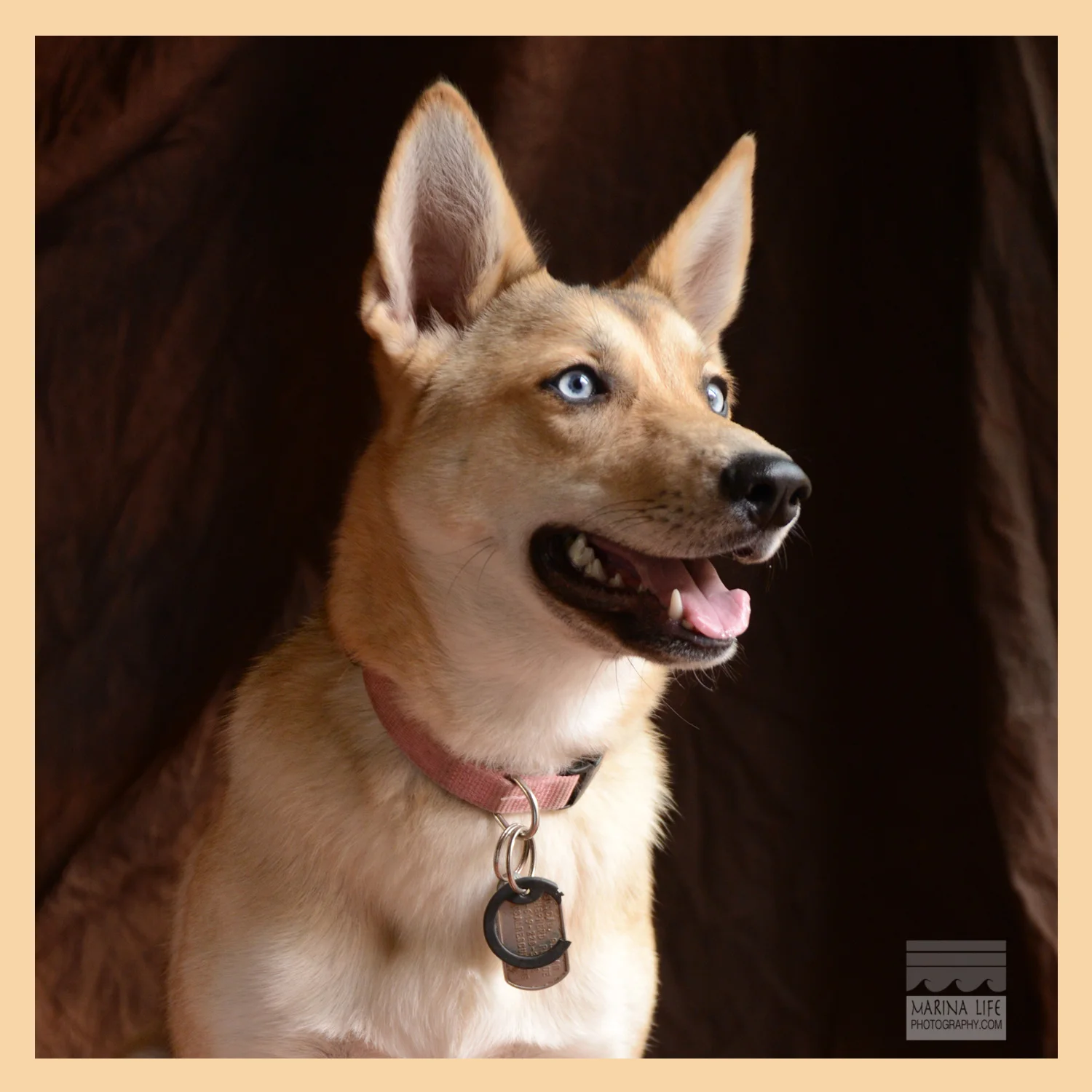 CleoSqPortraitWeb.jpg