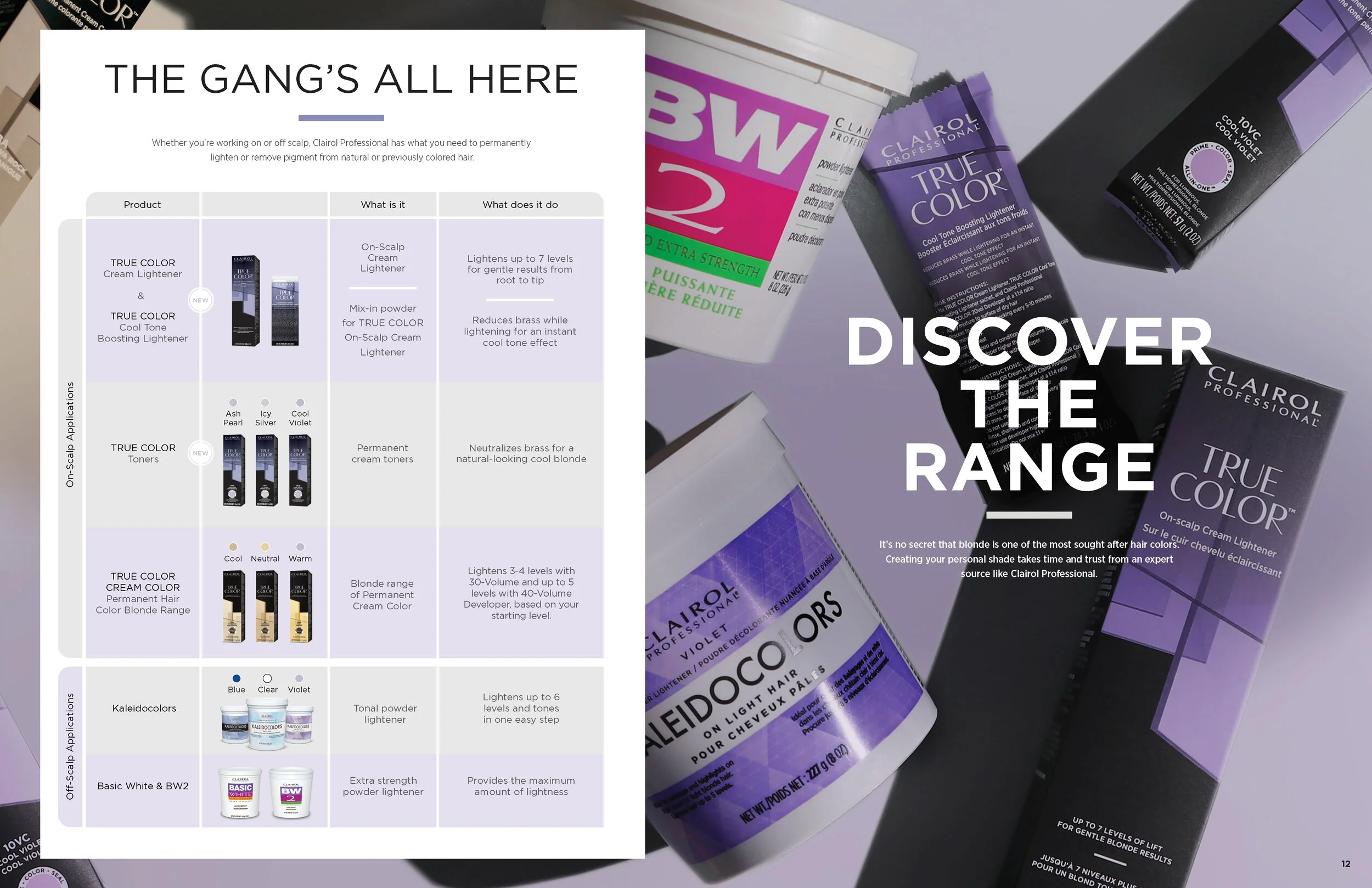 ClairolPro-BlondingGuide_R3m_Page_07.jpg