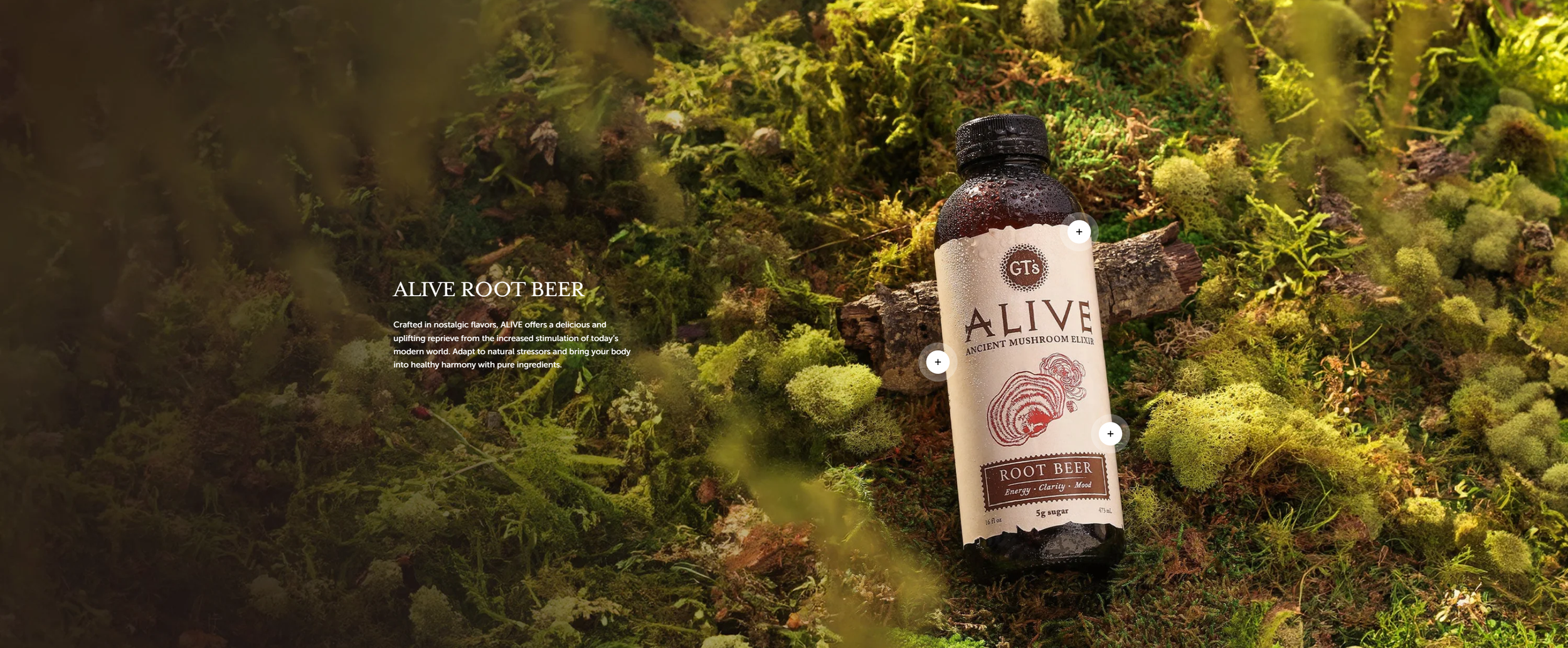 alive banner.png