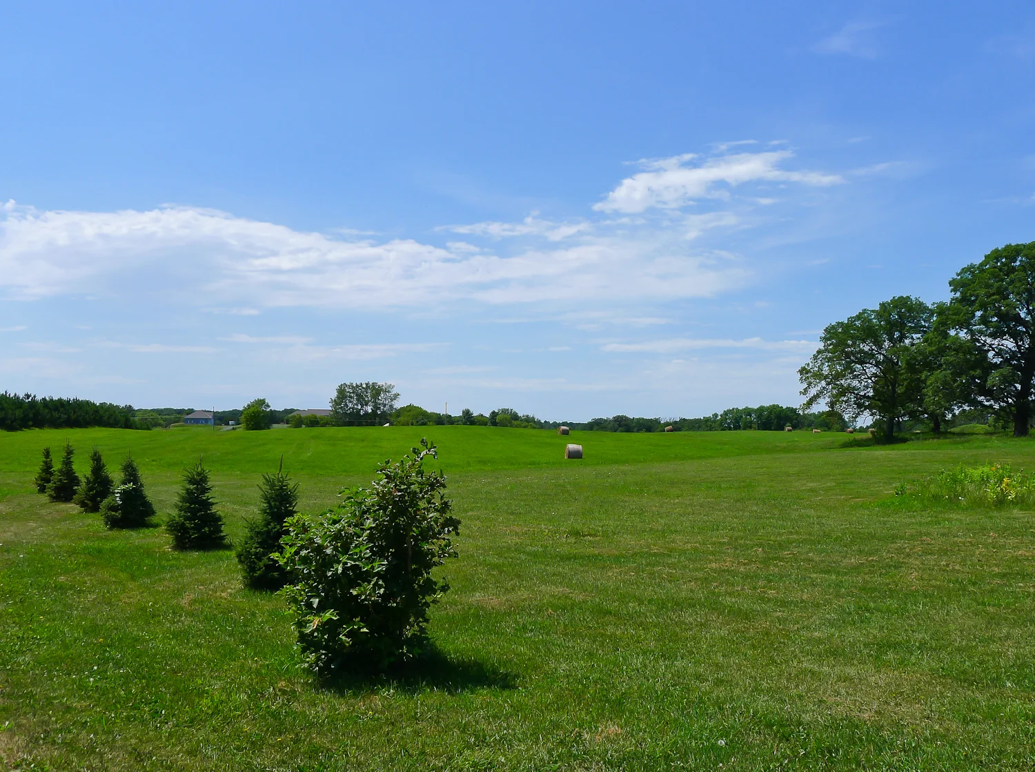 Mallard Ave-16.jpg