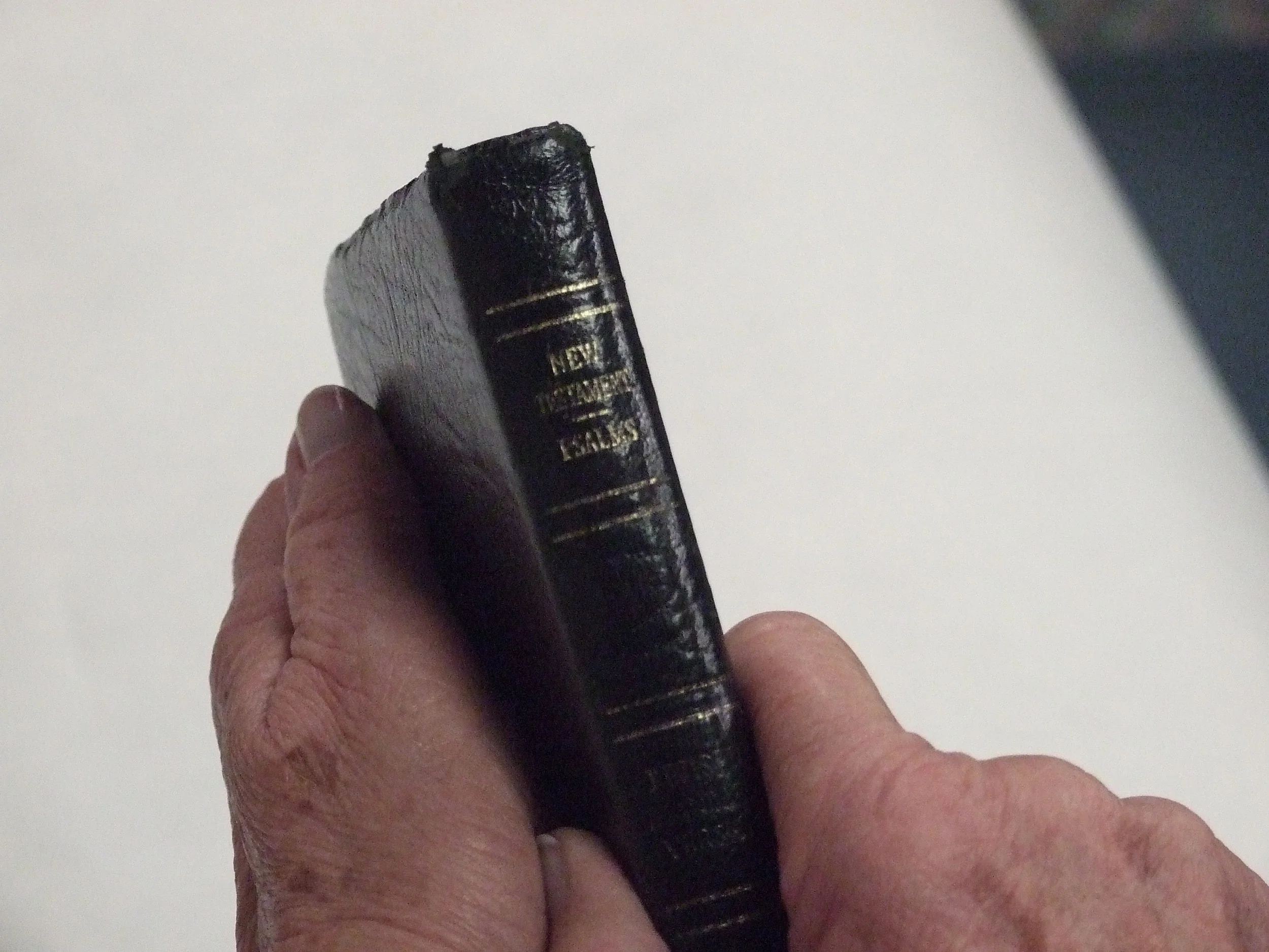 Old hands holding Bible.JPG