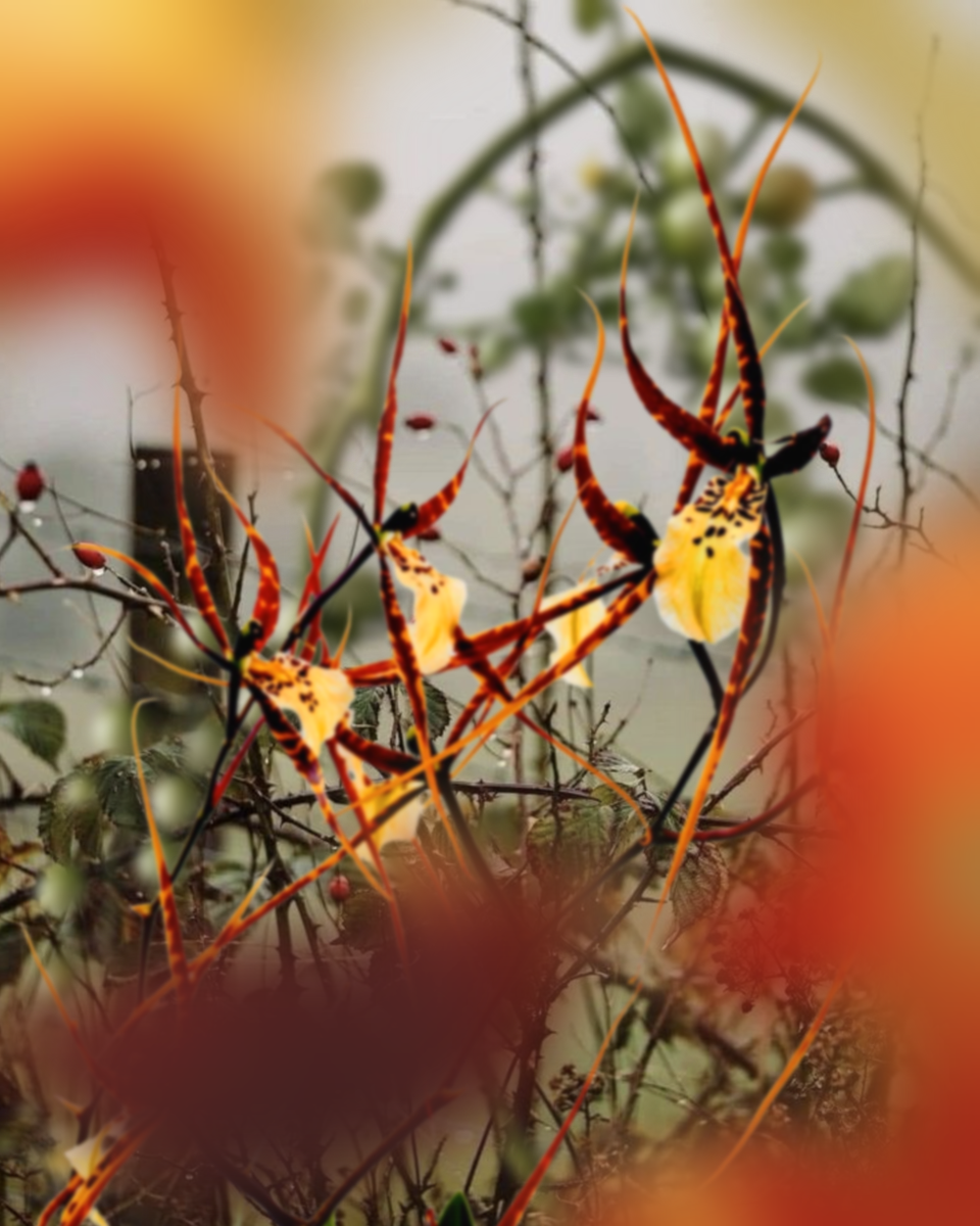 breath caught in my throat, 2026