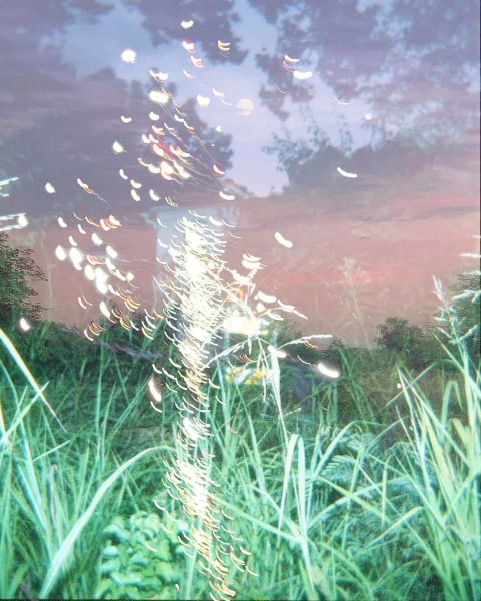 what comes up must come down, 2025