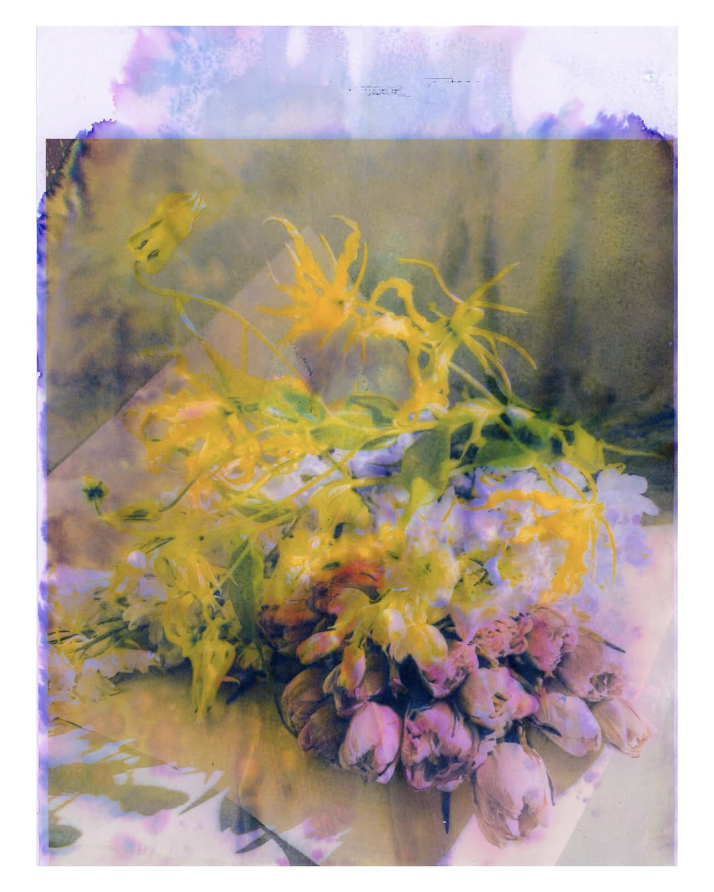 Spring floral rot, hot sticky summer heat, melting in the car, sweaty palms
ฅ(⌯͒•̩̩̩́ ˑ̫ •̩̩̩̀⌯͒)ฅ, 2025