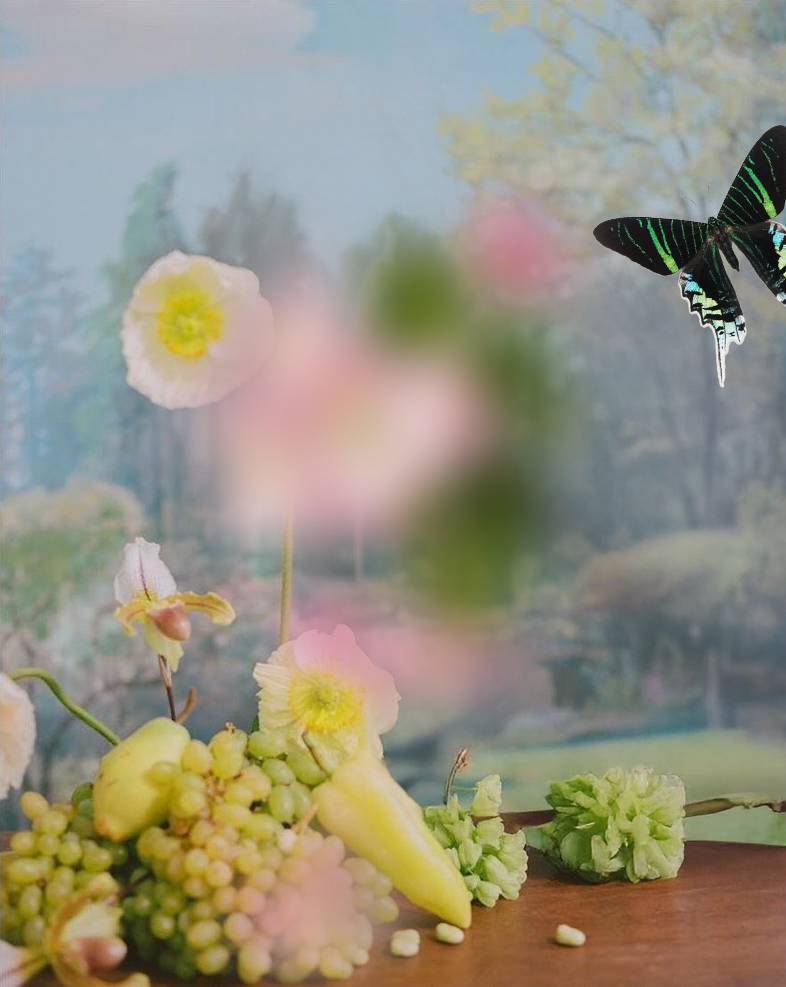 Love looks not with the eyes, but with the mind;
And therefore is wing’d Cupid painted blind.
Shakespeare
. ݁𓂃 ࣪˖ ཐིཋྀ ࣪˖ ݁𓂃. ݁₊, 2026