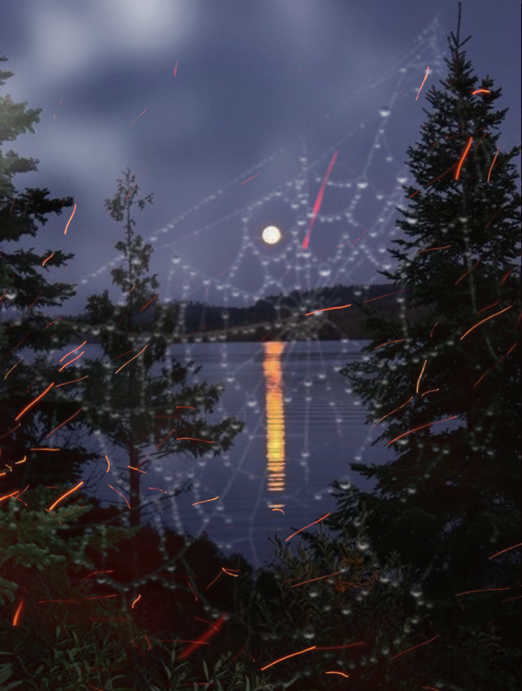 Said the Spider to the Fly / IMG_7848
/╲/\〳 ᴼᴼ ౪ ᴼᴼ 〵/\╱\, 2025