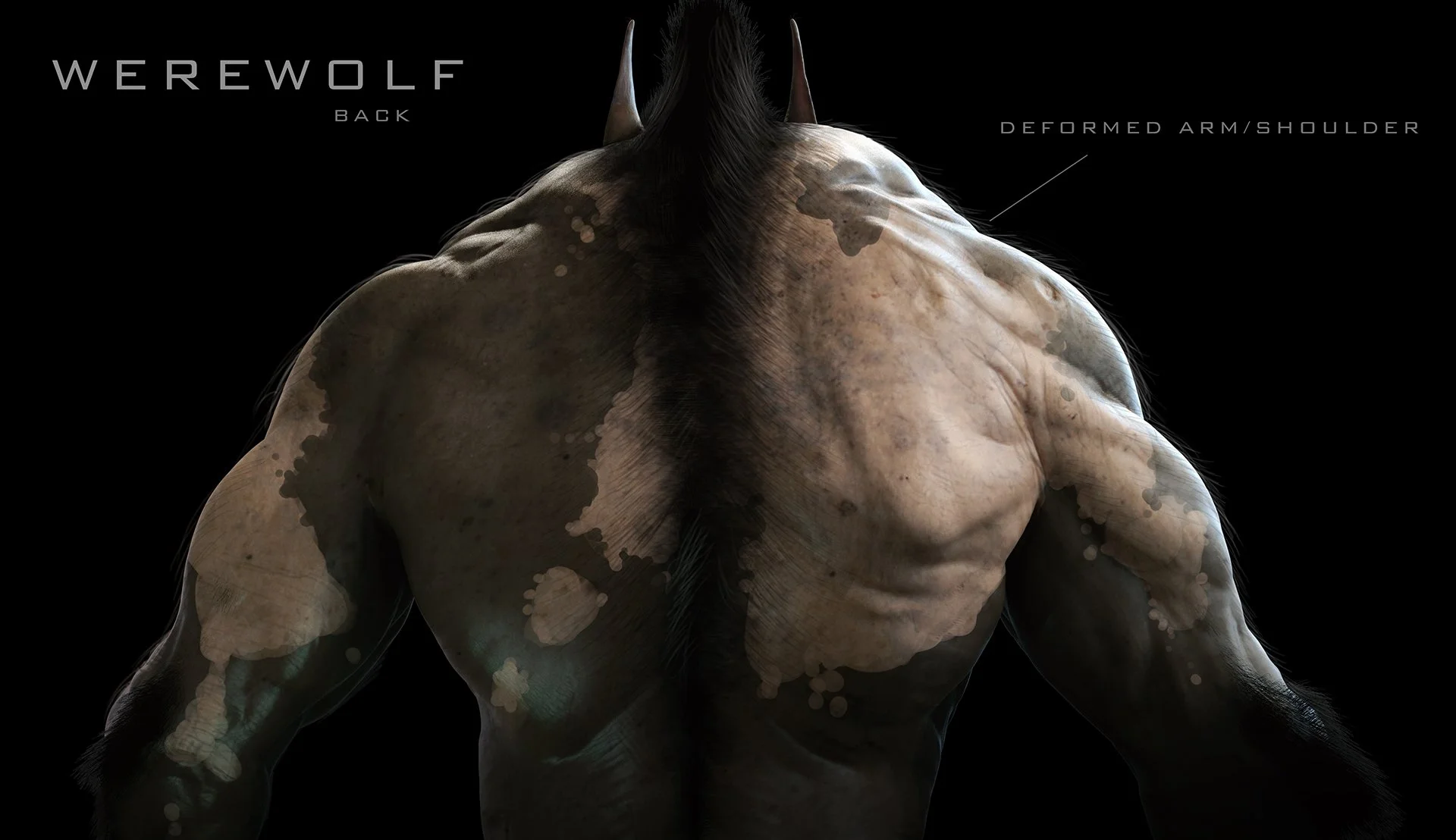 WereWolf_Back.jpg