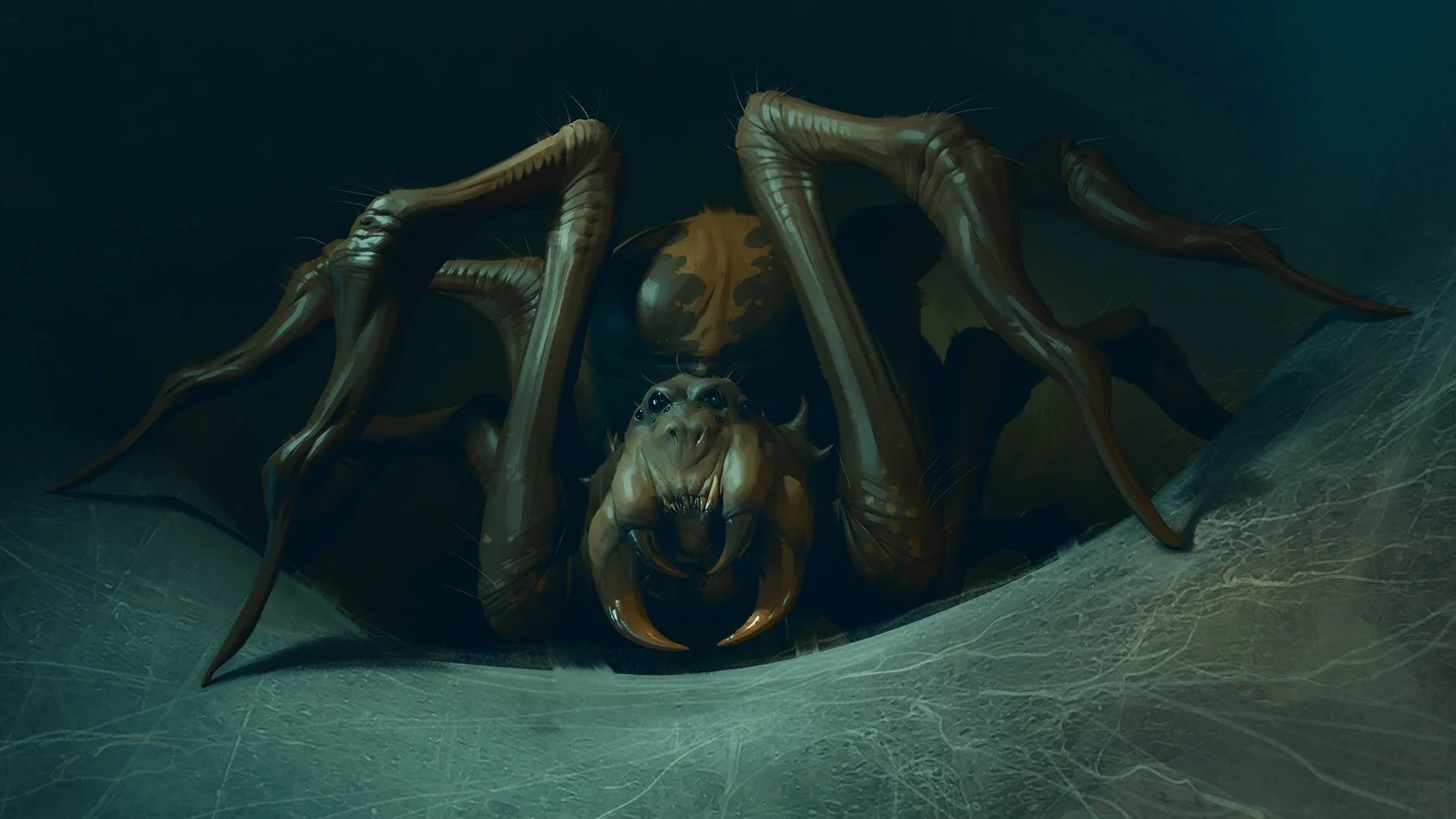 Spider.jpg