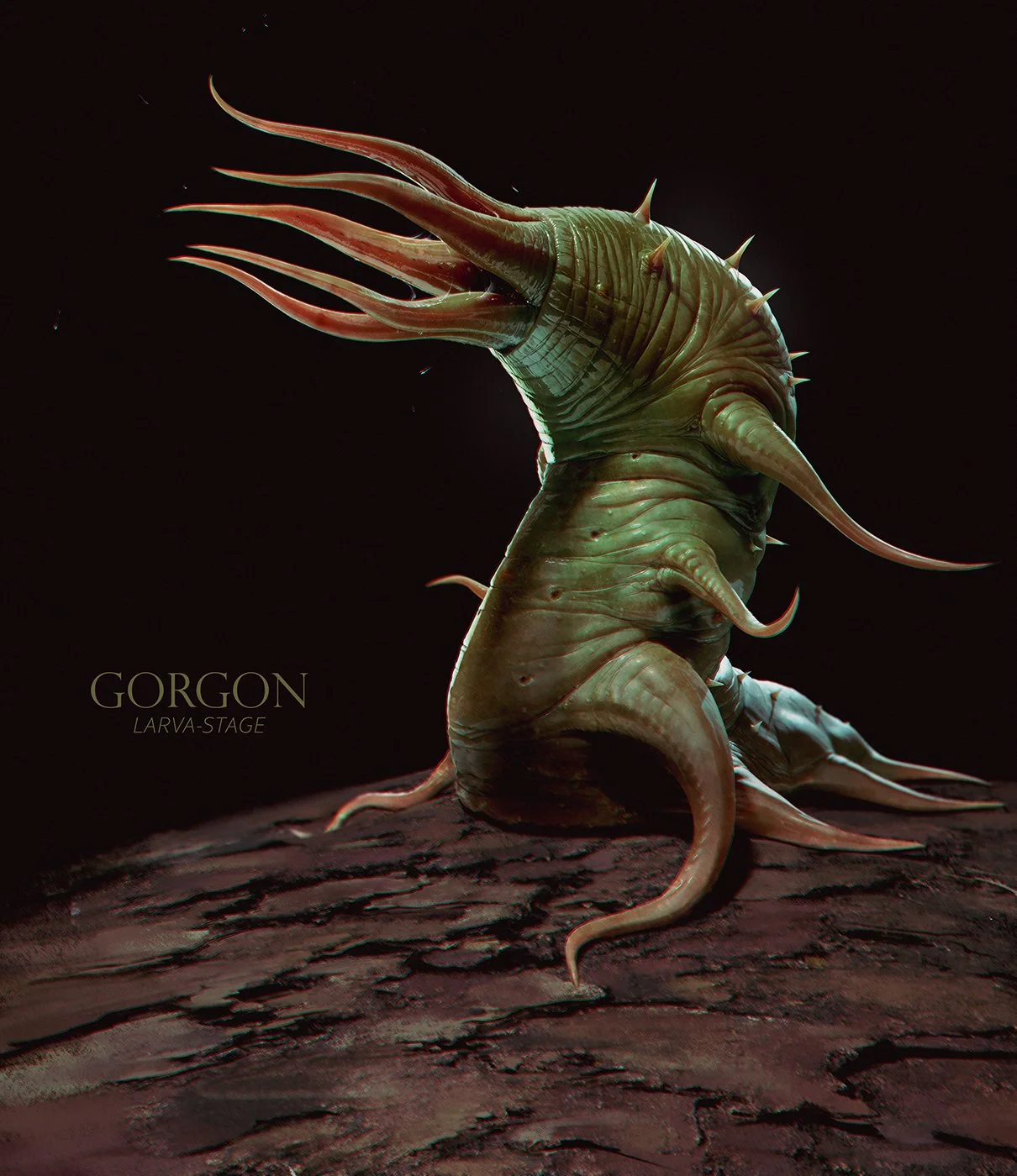 LarvalGorgon_02_F.jpg