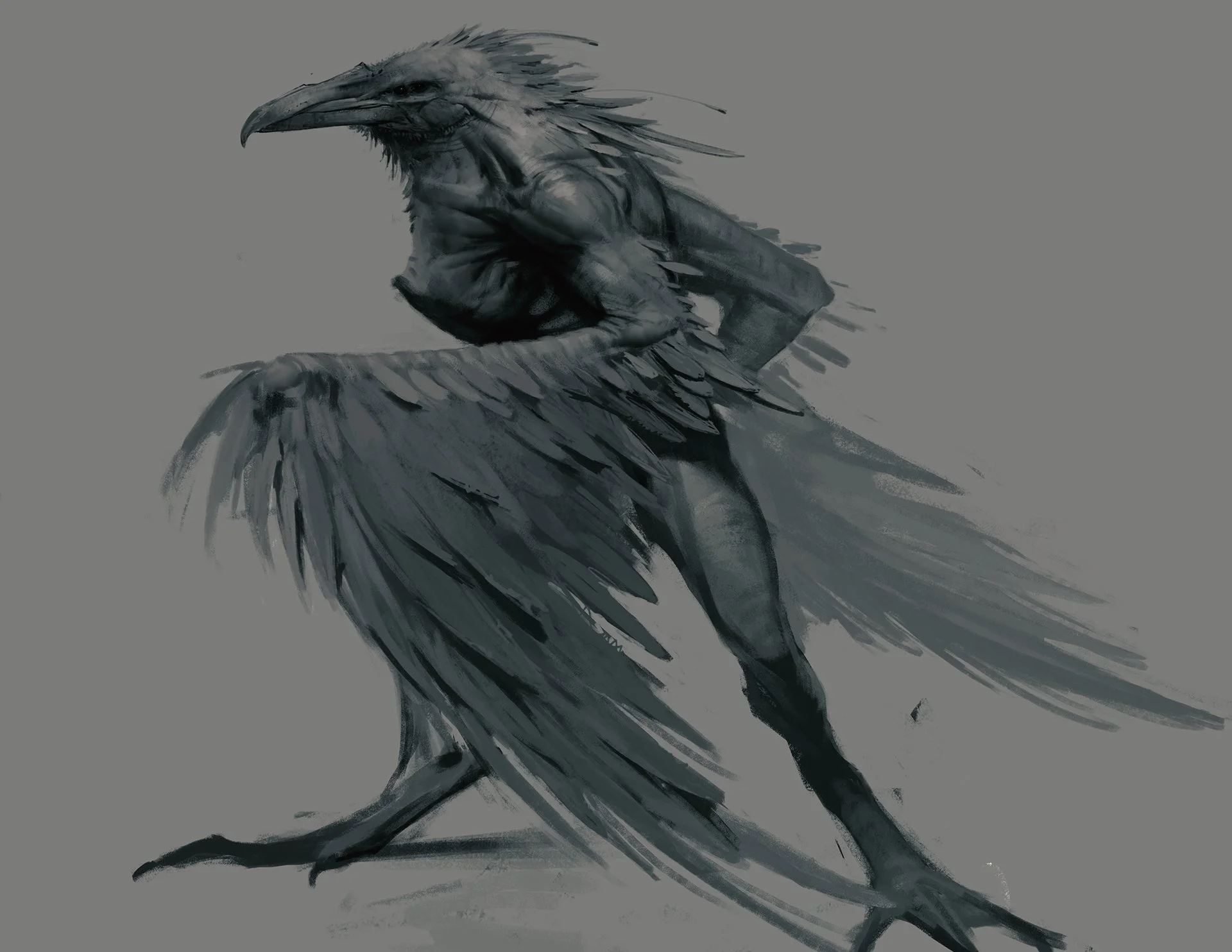 wereRaven_Sketch_01.jpg